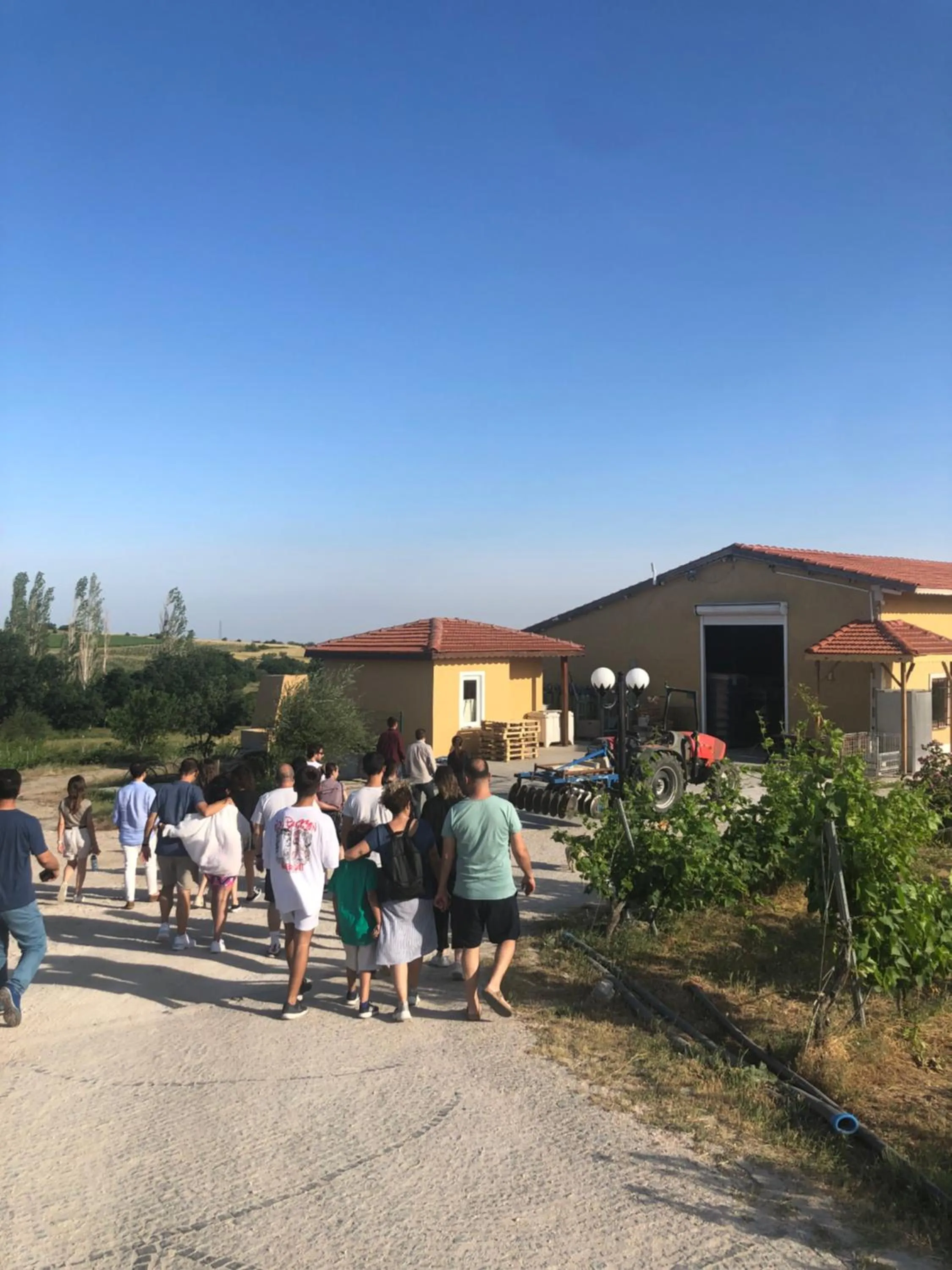 Activities in Dessera Vineyards Hotel