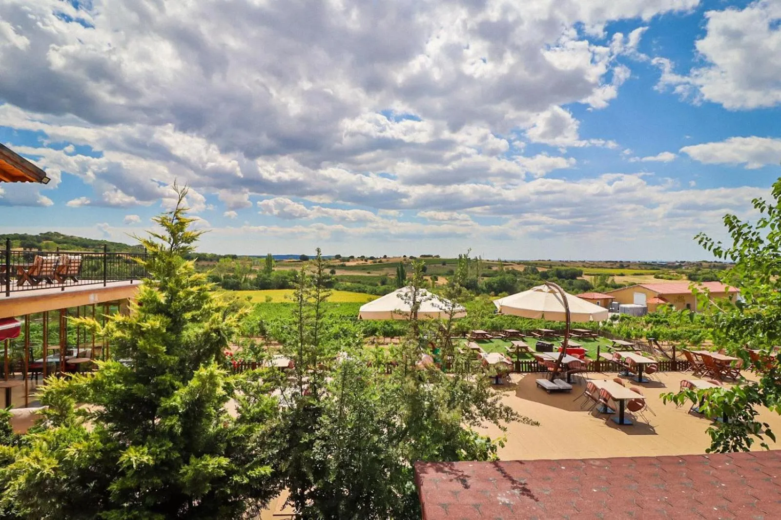 Garden view in Dessera Vineyards Hotel