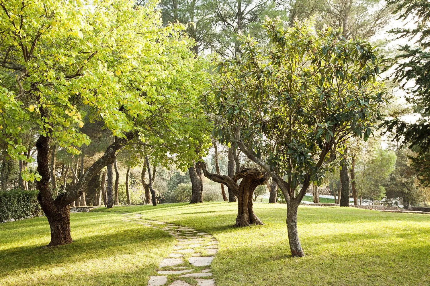 Facade/entrance in Trulli del Carmine