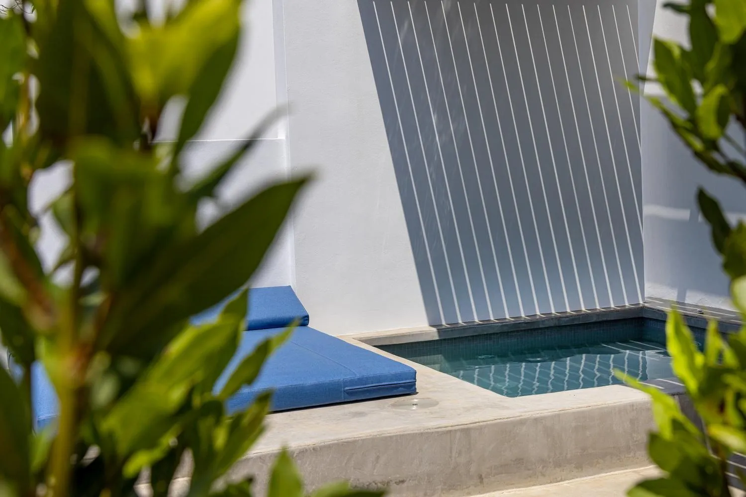 Day in White Holidays Project