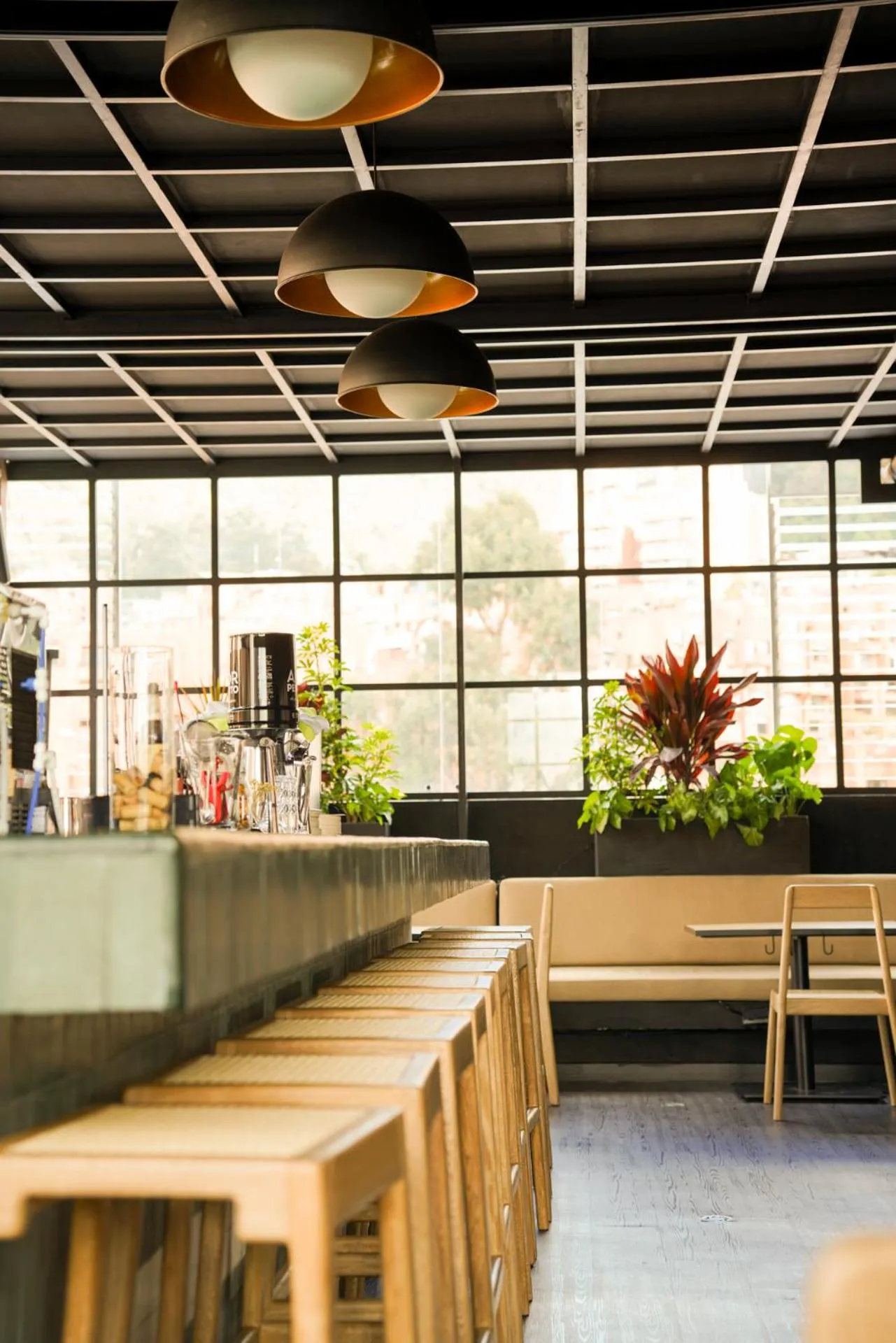 Lounge or bar in Hotel Coco