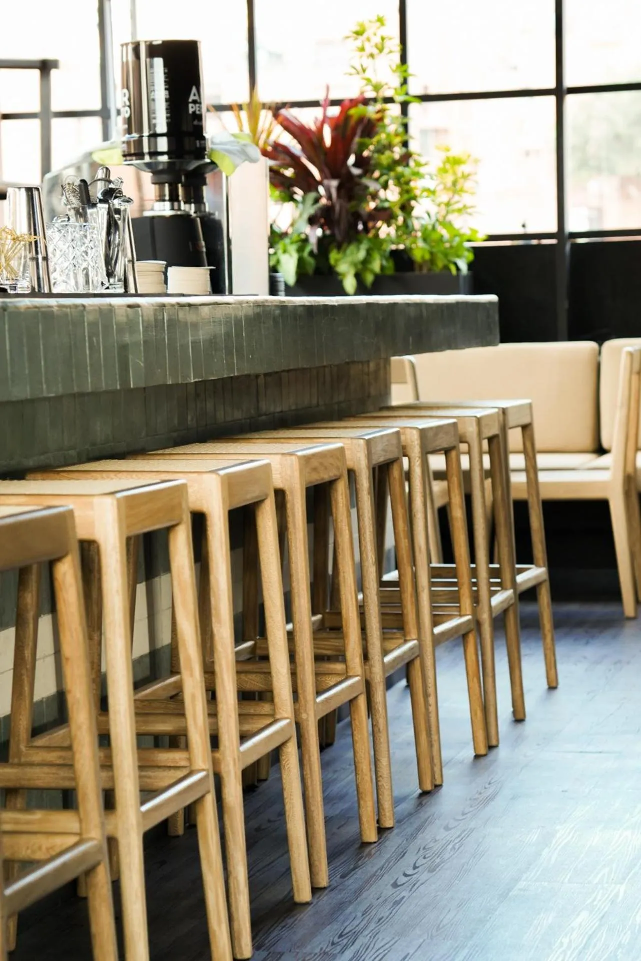 Lounge or bar in Hotel Coco