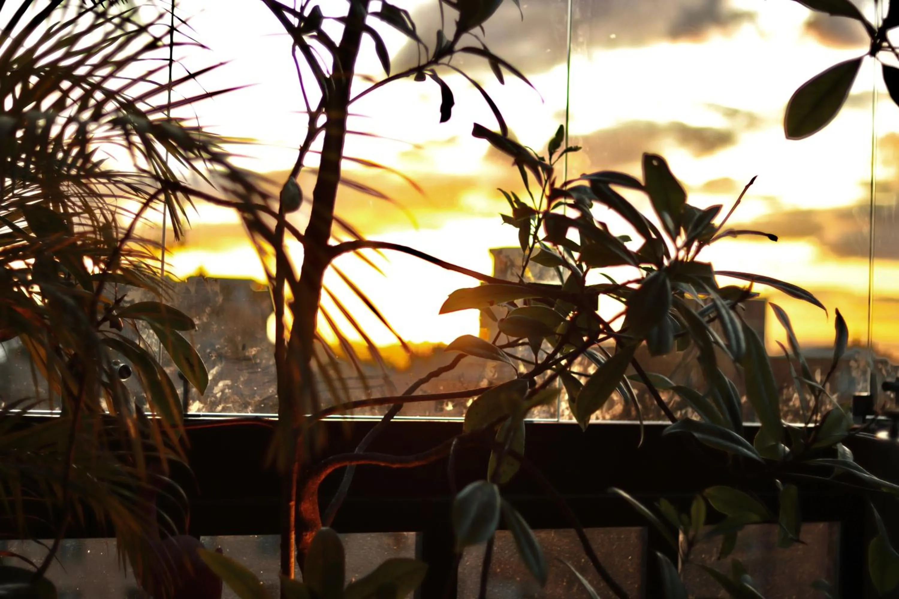 Balcony/Terrace in Hotel Coco