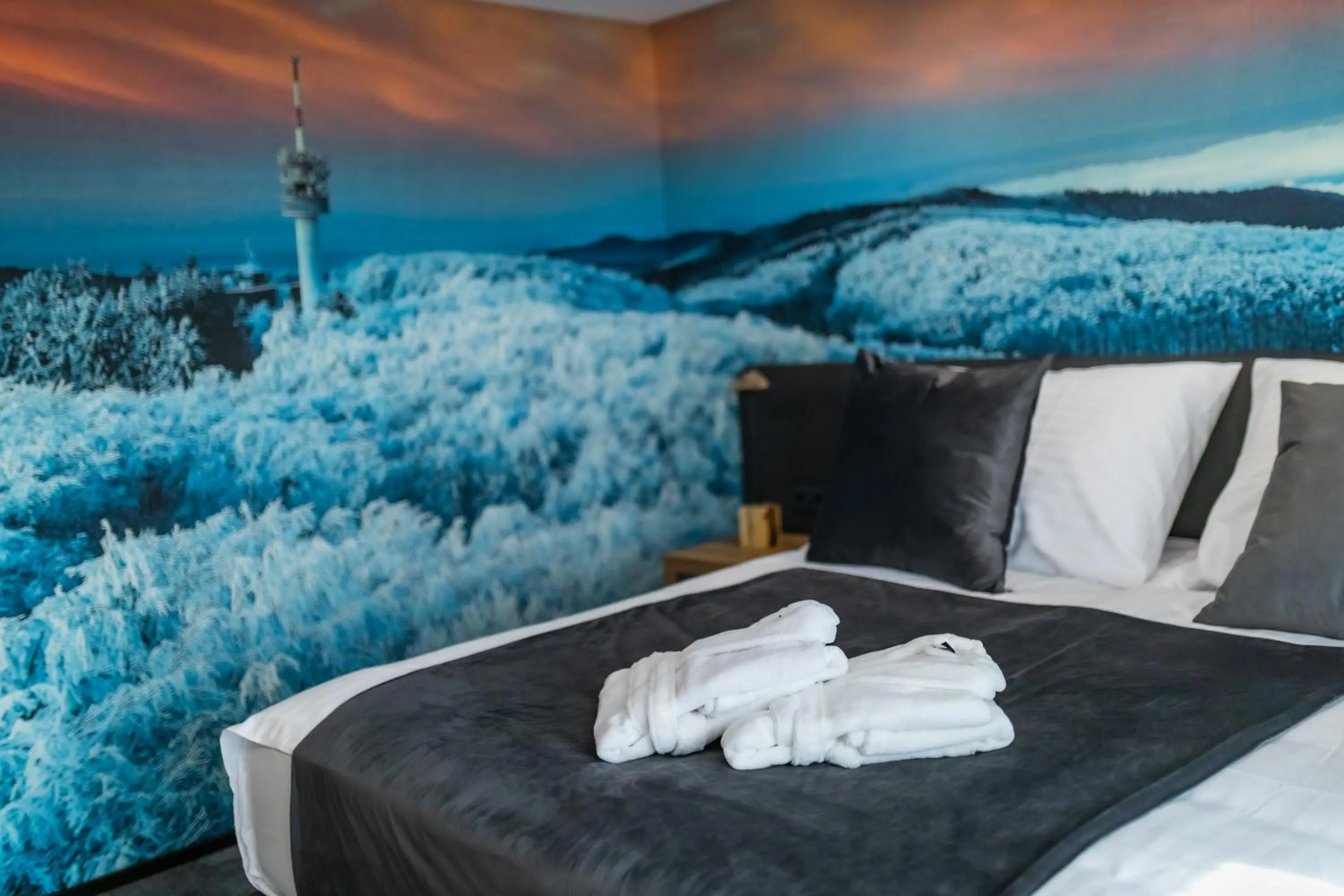 Bed in 4 Évszak Erdeihotel**** - Mátrafüred