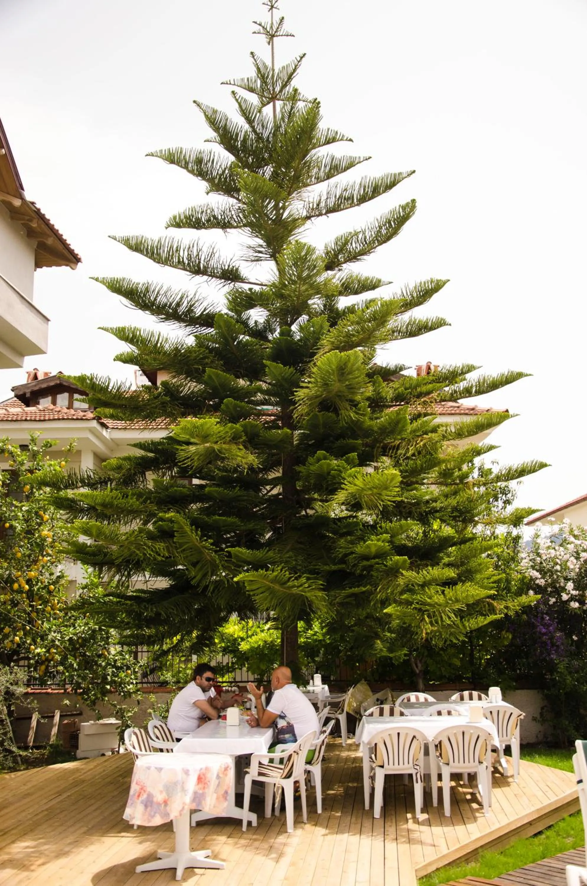 Garden in Yaprak Hotel
