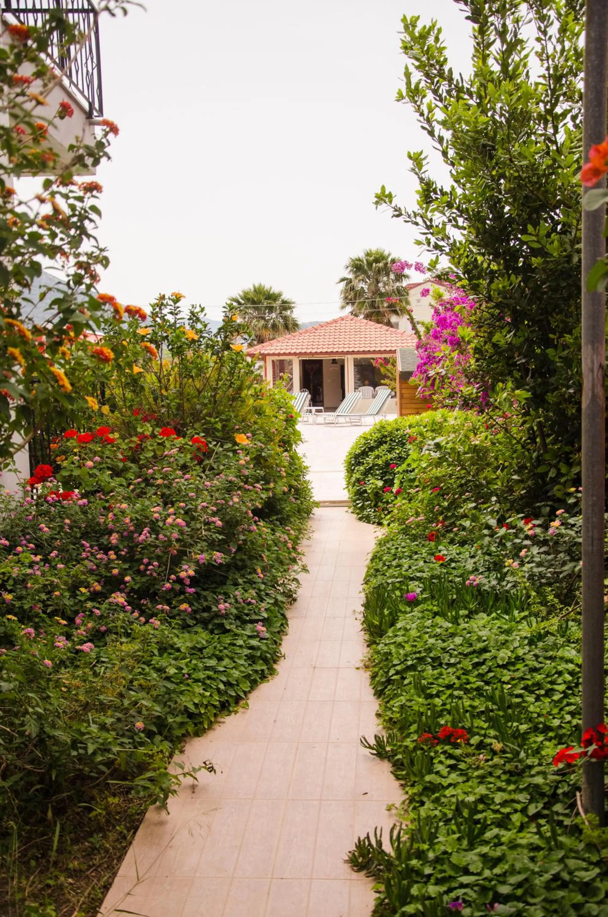 Garden in Yaprak Hotel