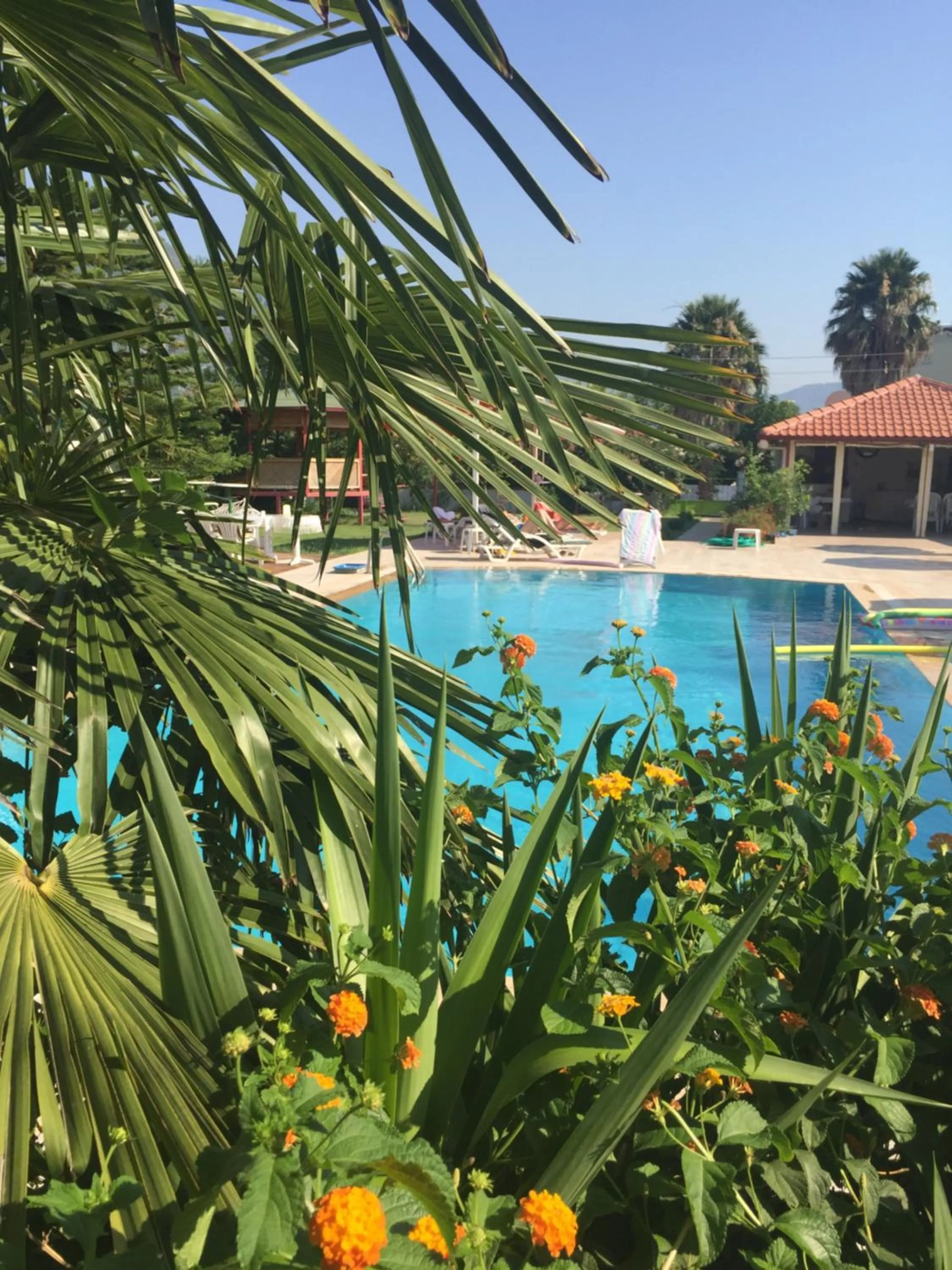 Pool view in Yaprak Hotel