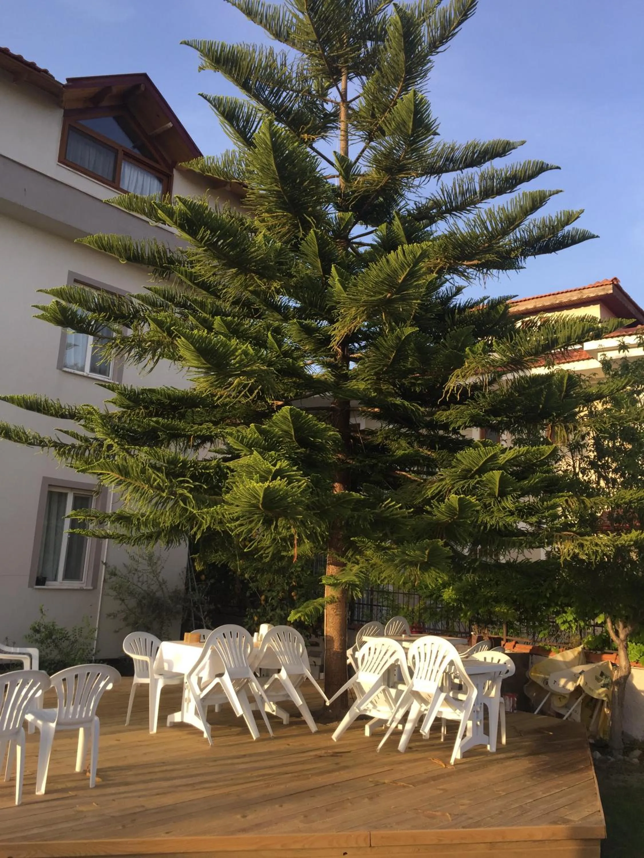 Natural landscape in Yaprak Hotel
