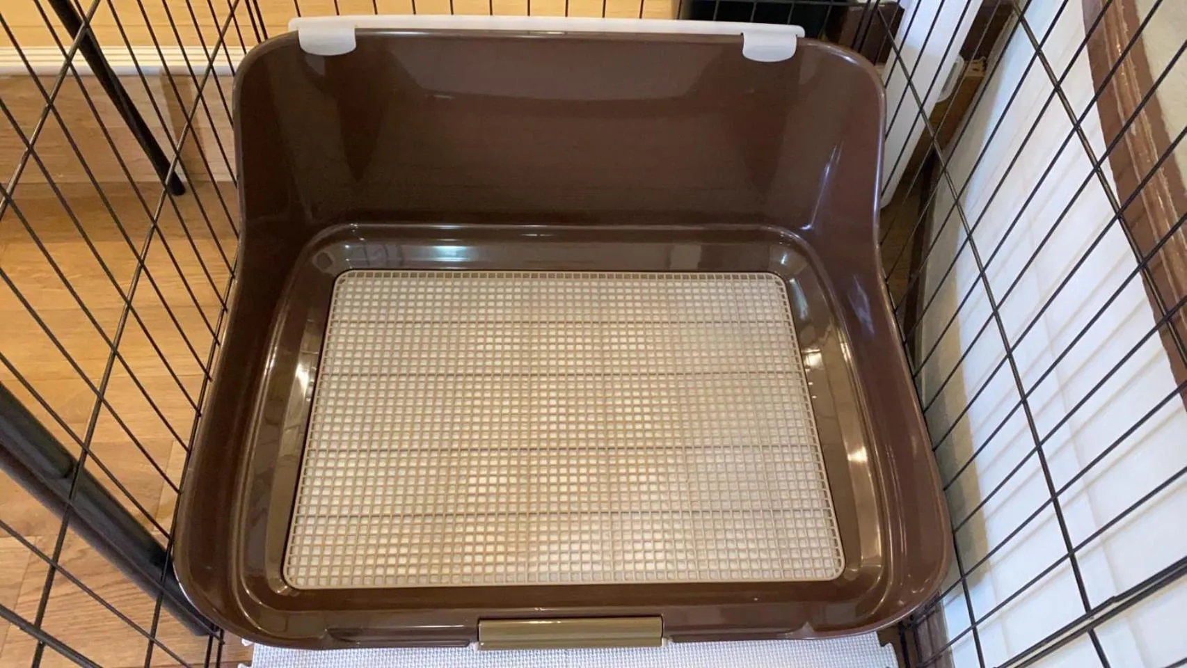 Animals in Hotel Lucia at Maebashi Akagi