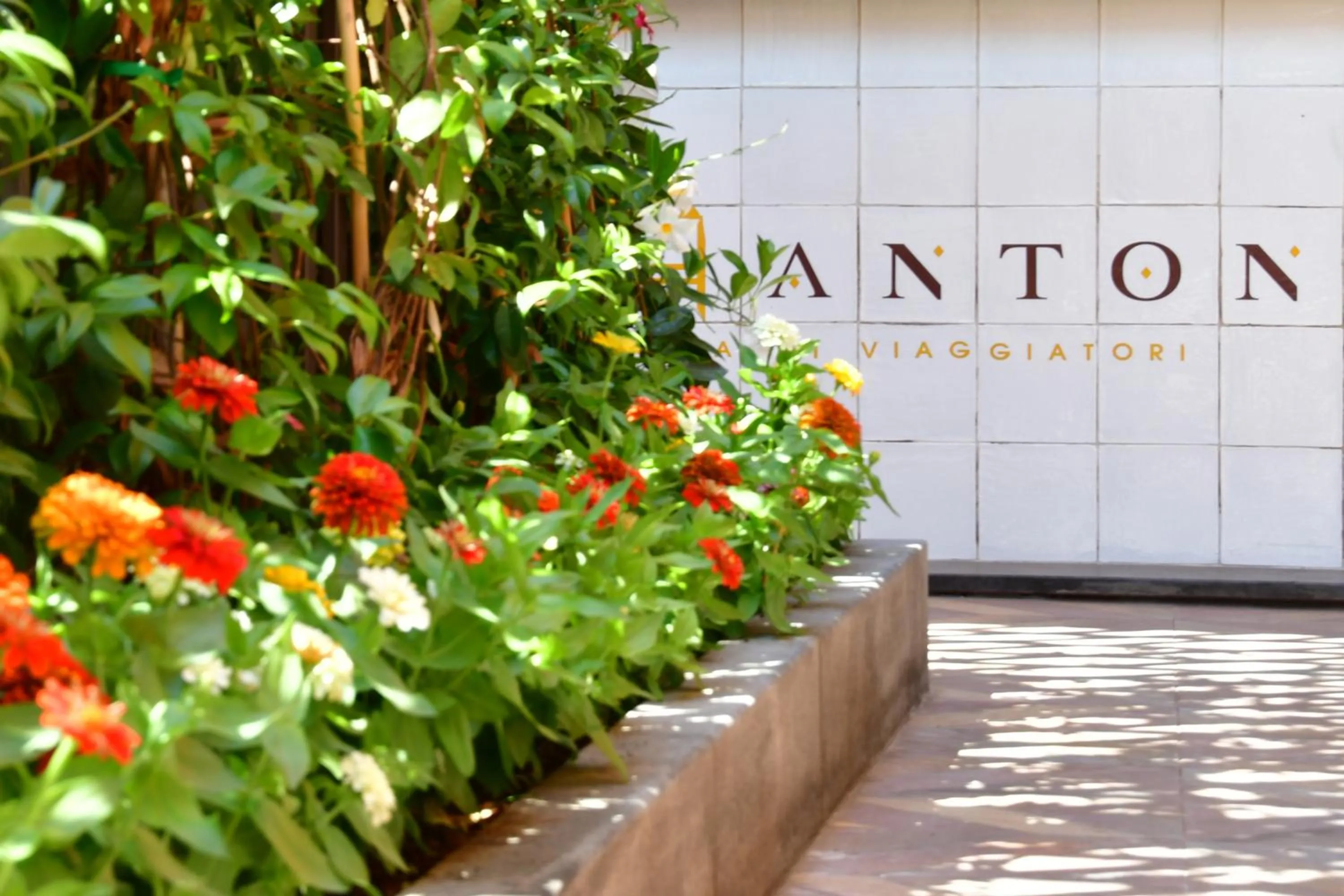 Property logo or sign in San Anton Hotel