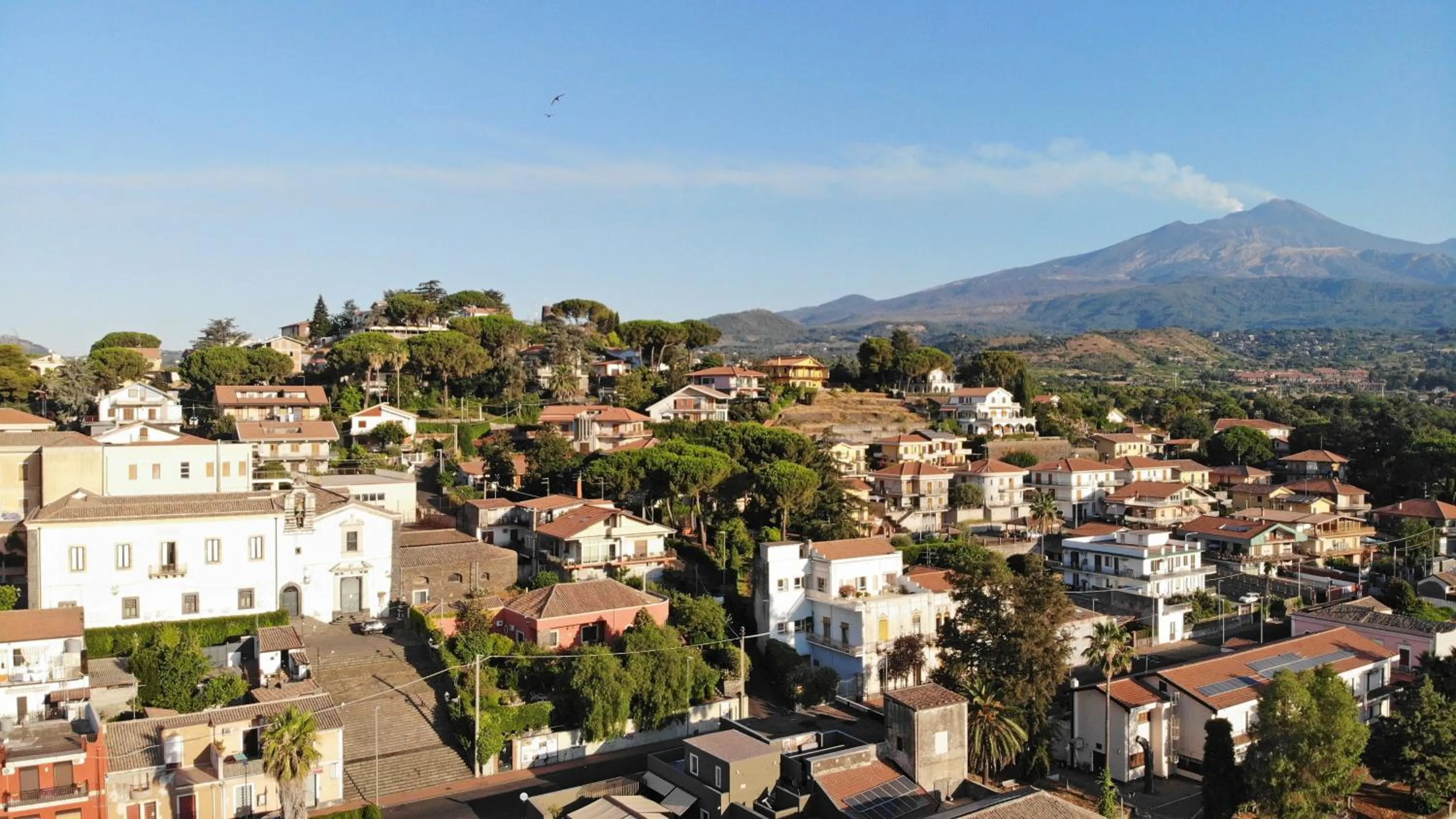 Neighbourhood in San Anton Hotel