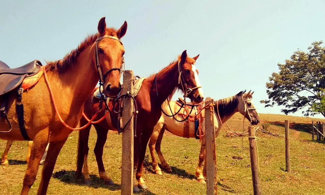 Hotel Fazenda Menino da Porteira