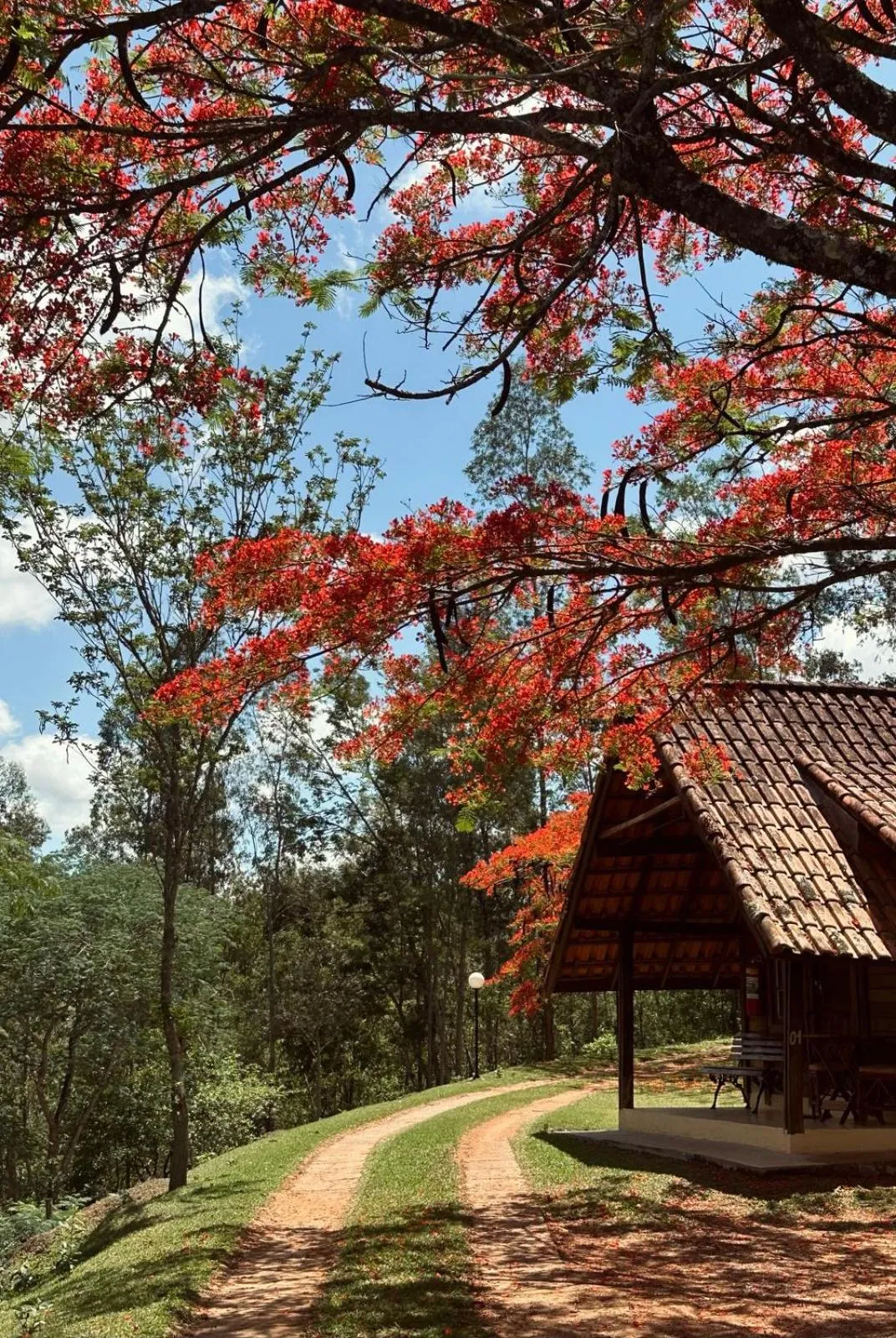 Hotel Fazenda Menino da Porteira