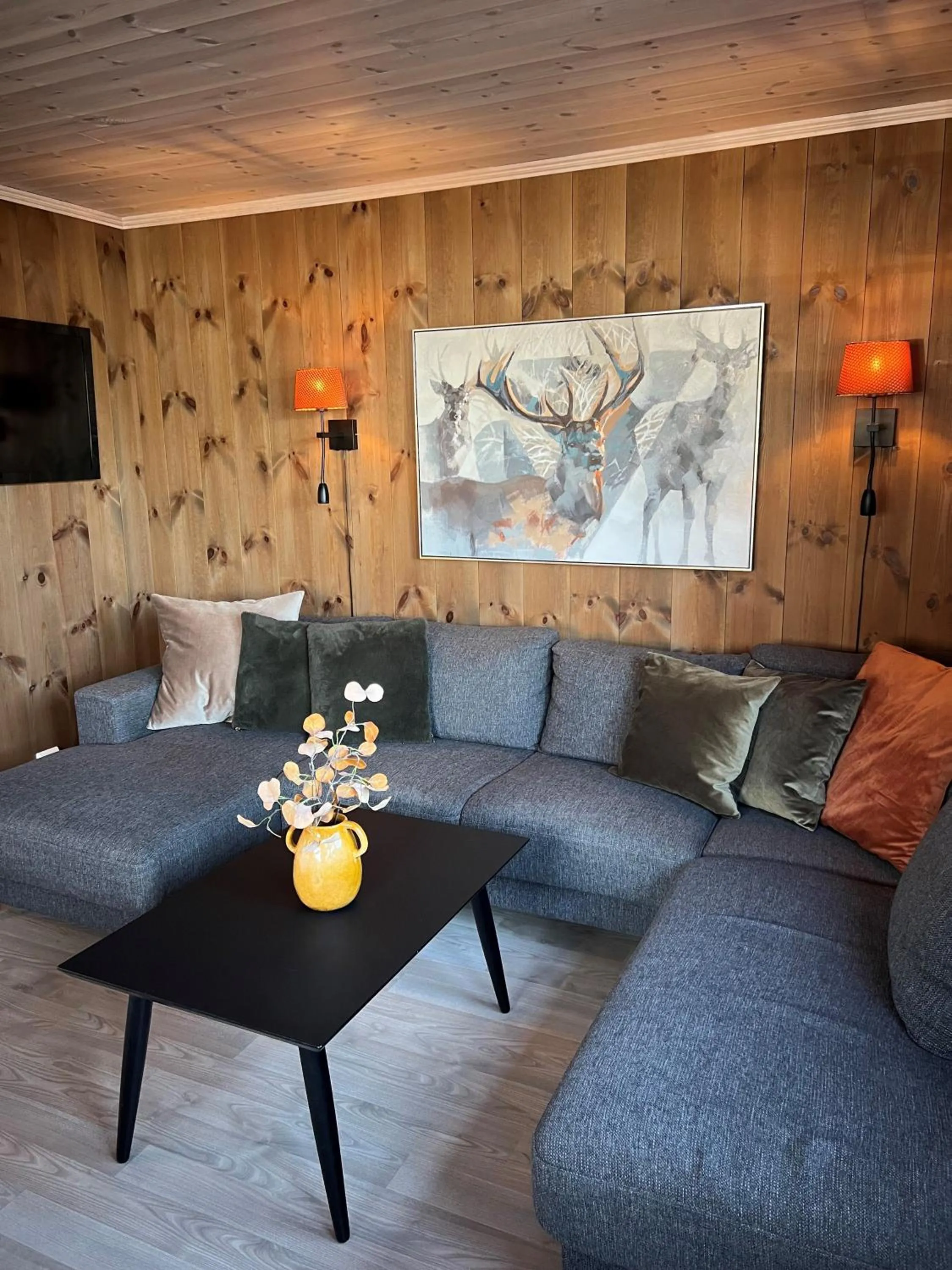 Living room in Fagernes Camping