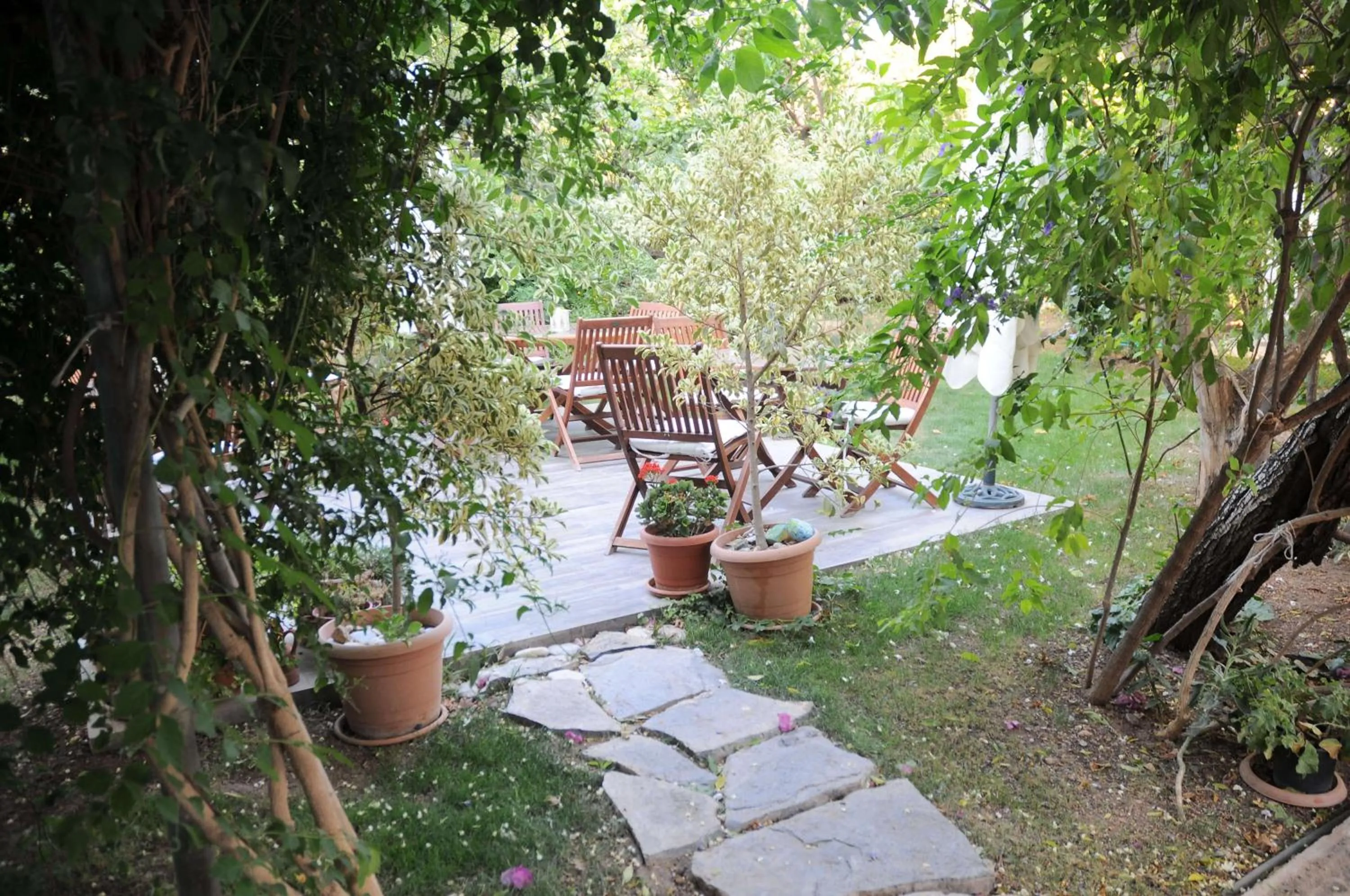 Garden in Hotel Gulec