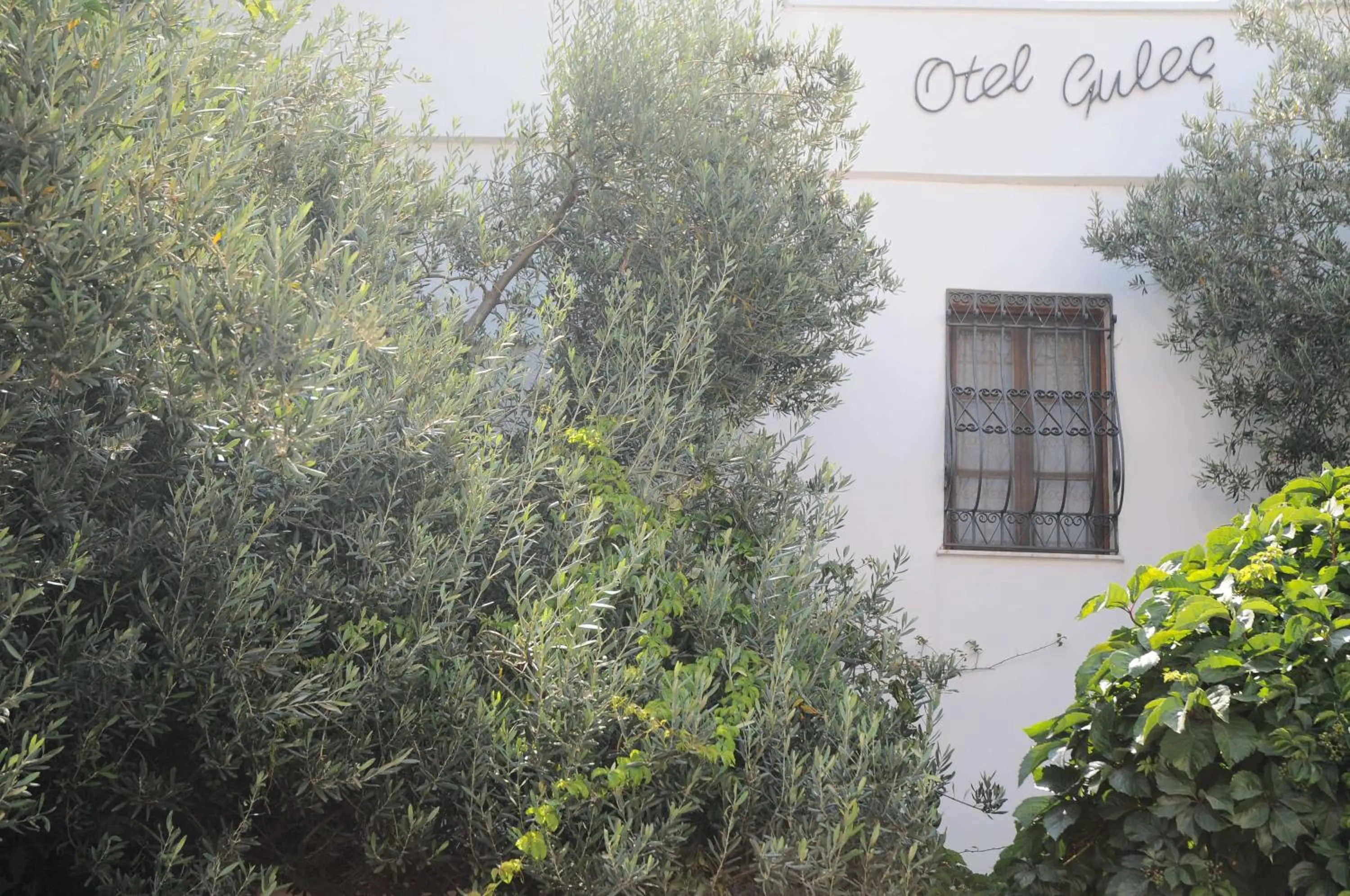 Facade/entrance in Hotel Gulec
