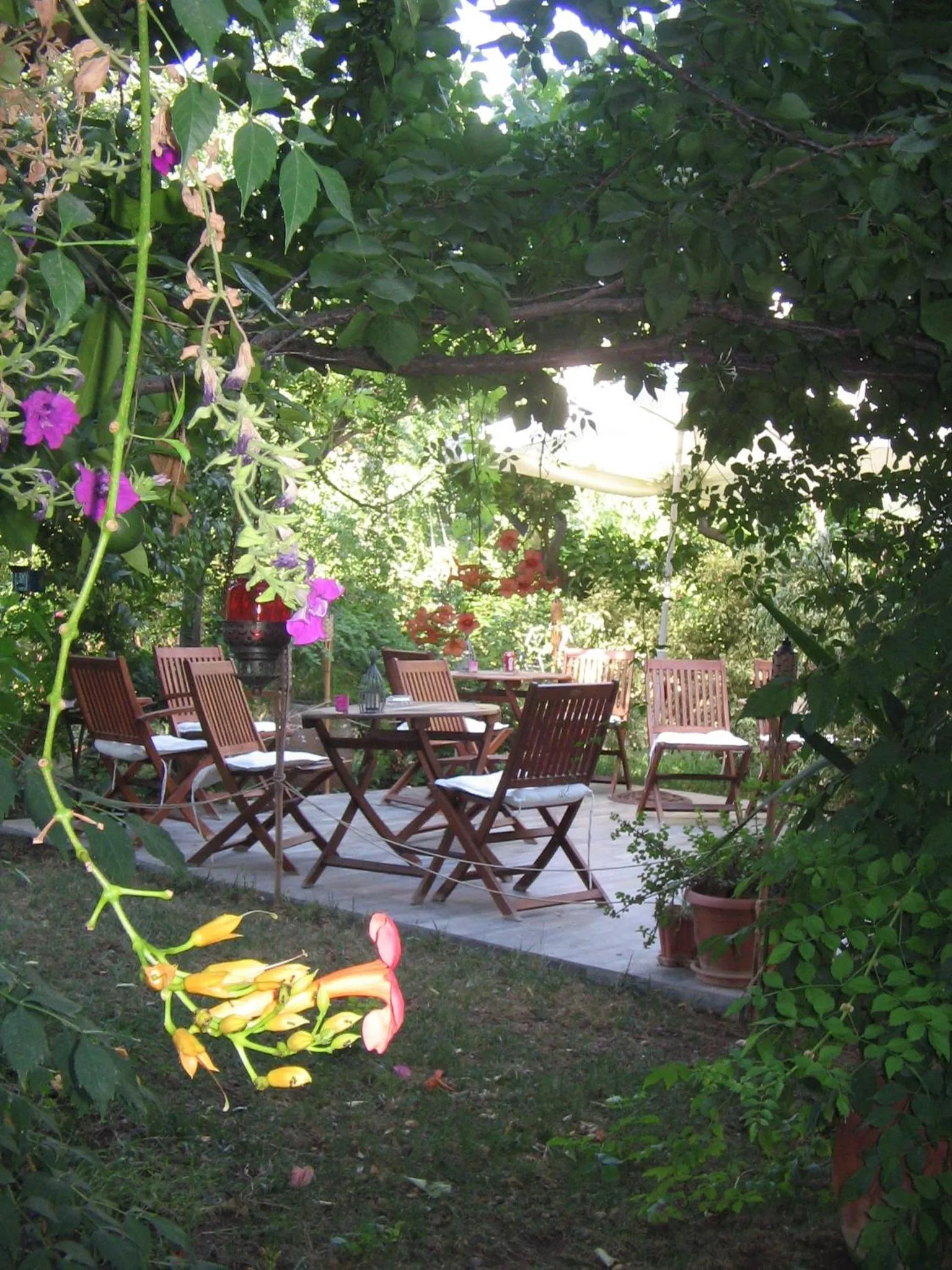 Garden in Hotel Gulec