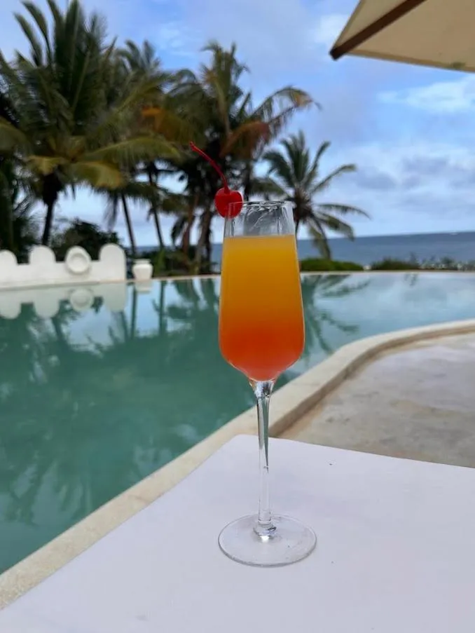 Msambweni Beach House and Private Villas