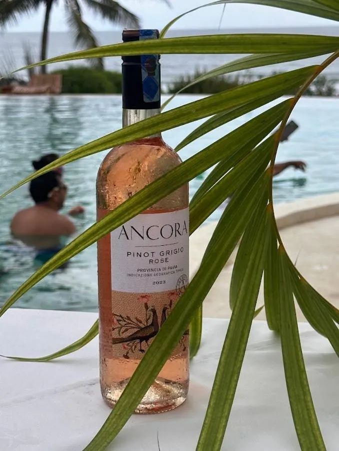 Msambweni Beach House and Private Villas