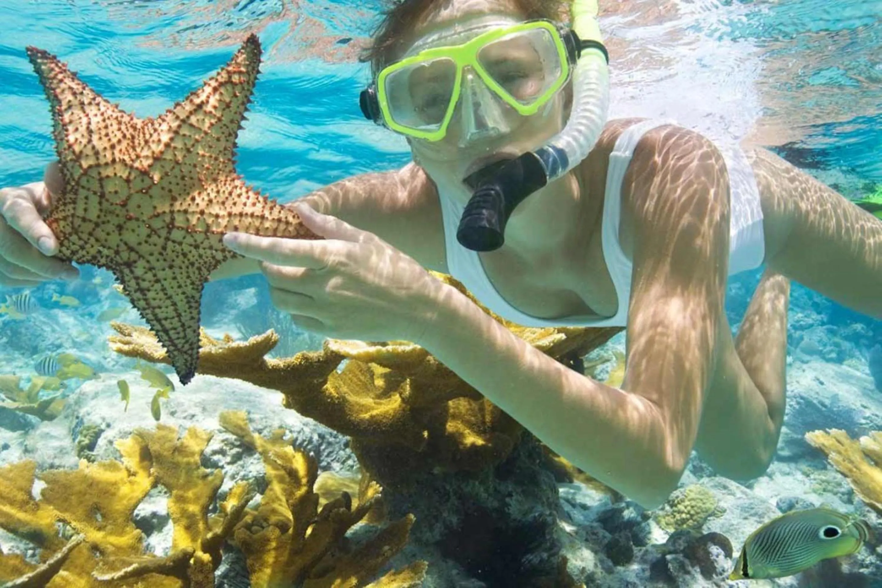 Snorkeling in Msambweni Beach House and Private Villas