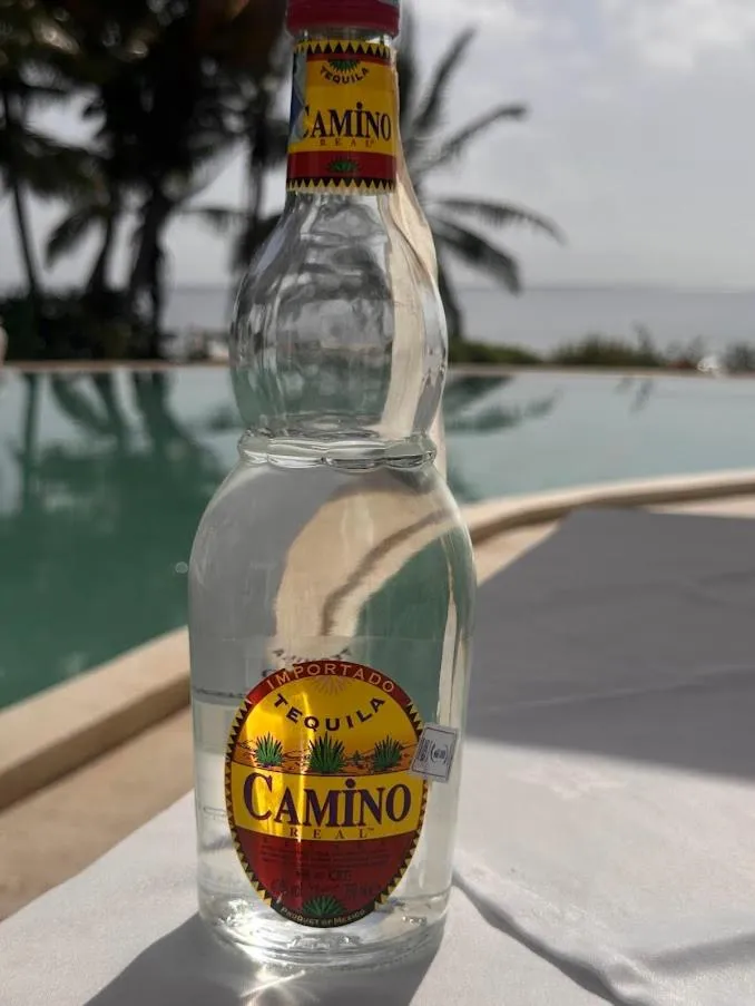 Msambweni Beach House and Private Villas