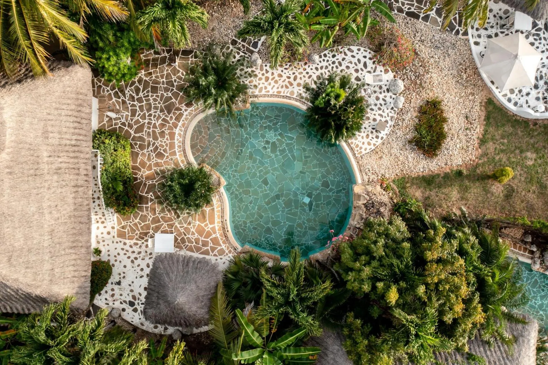 Swimming pool in Msambweni Beach House and Private Villas