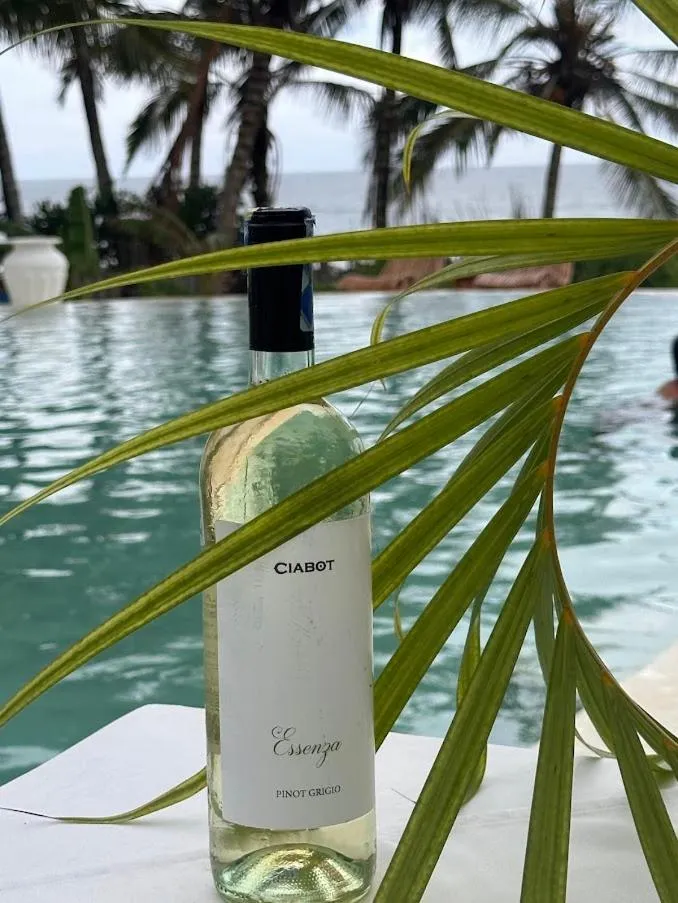 Msambweni Beach House and Private Villas