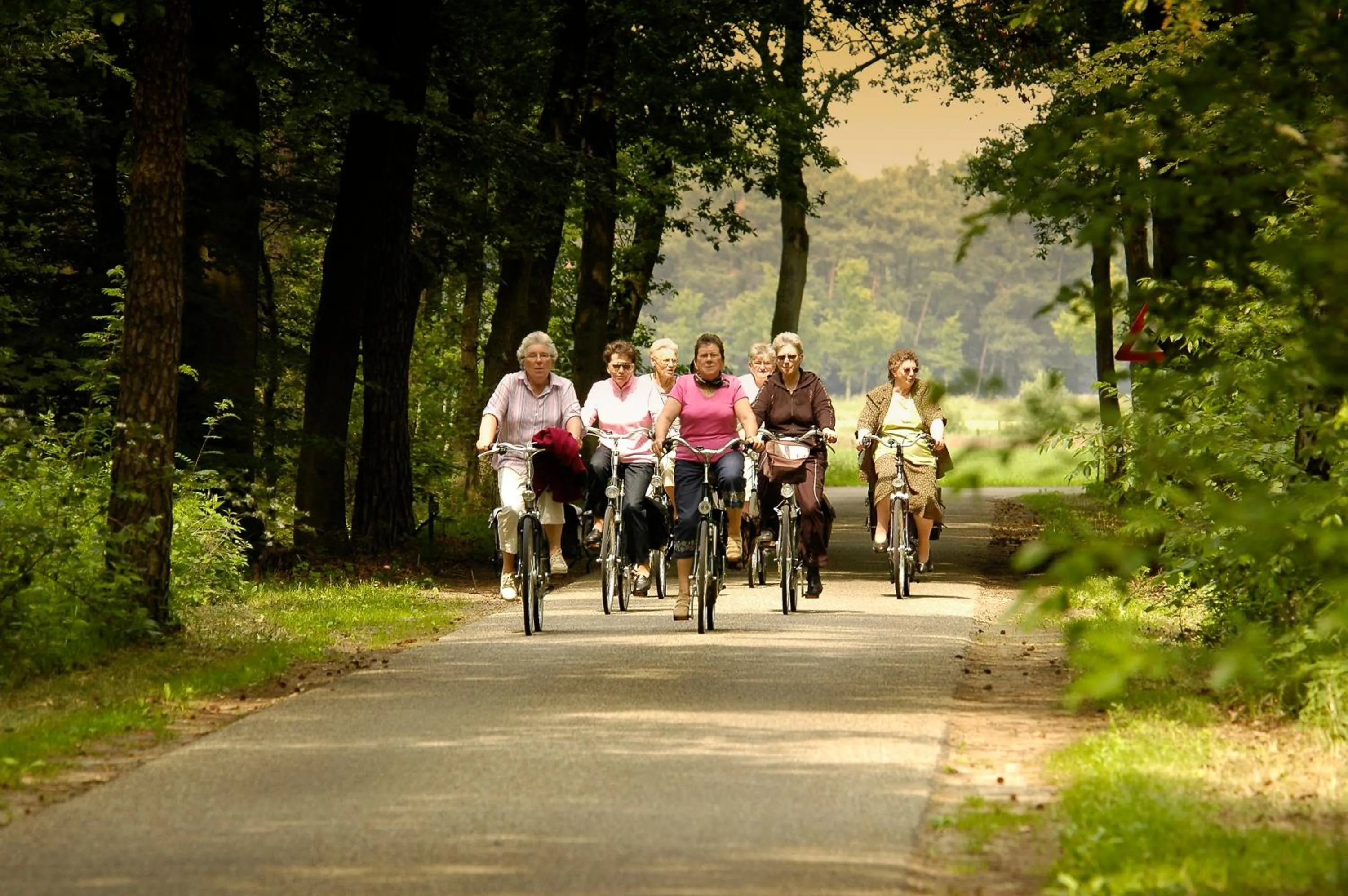 Cycling in Landgoed Ehzerwold