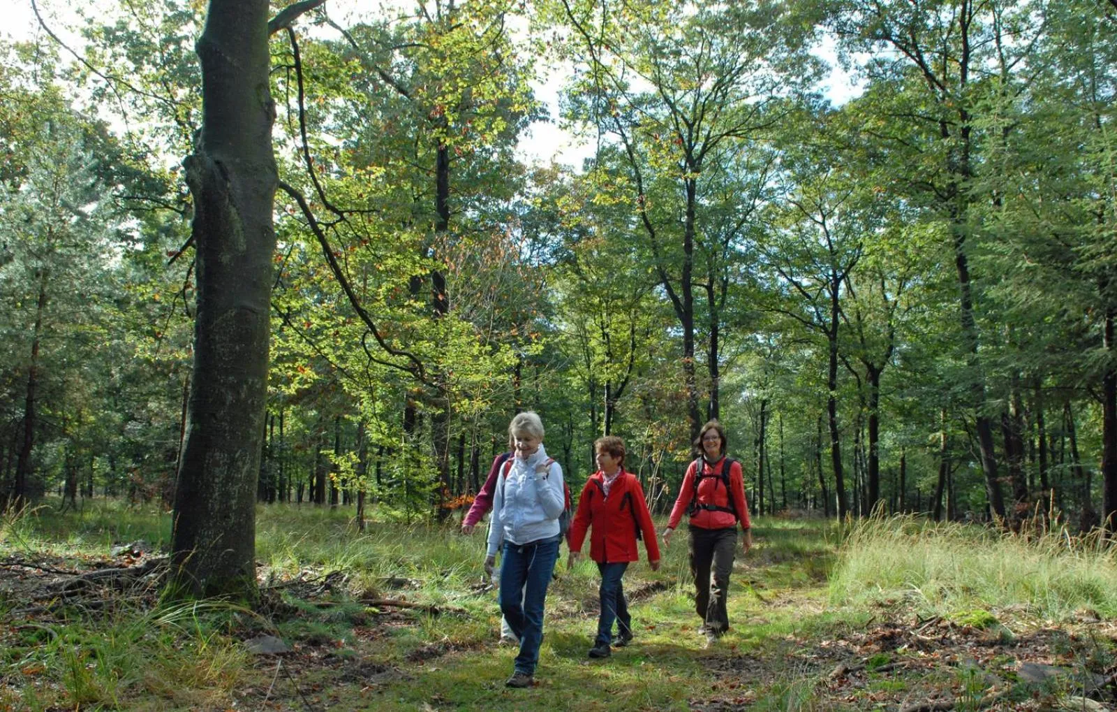 Activities in Landgoed Ehzerwold