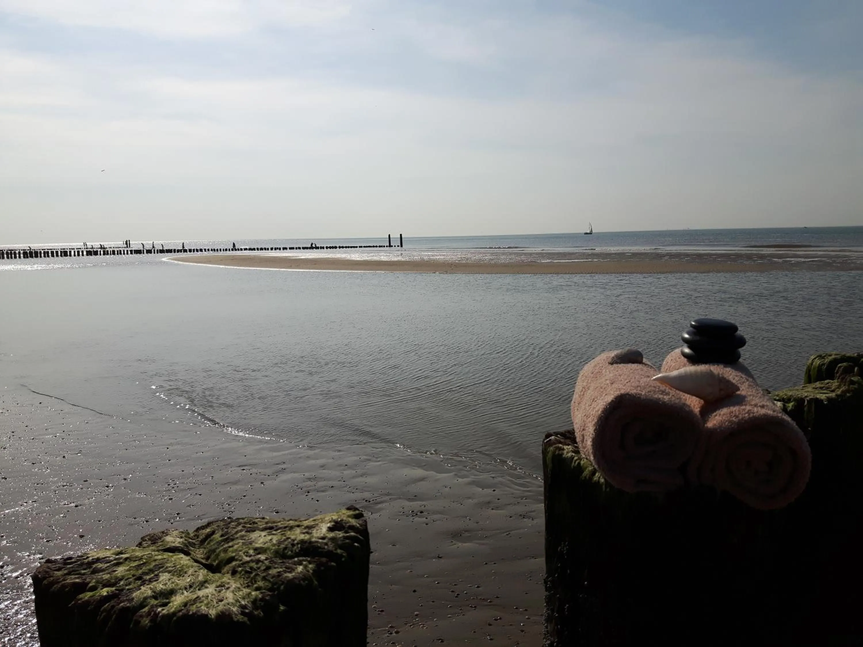 Natural landscape in Sleep Well Ness Domburg