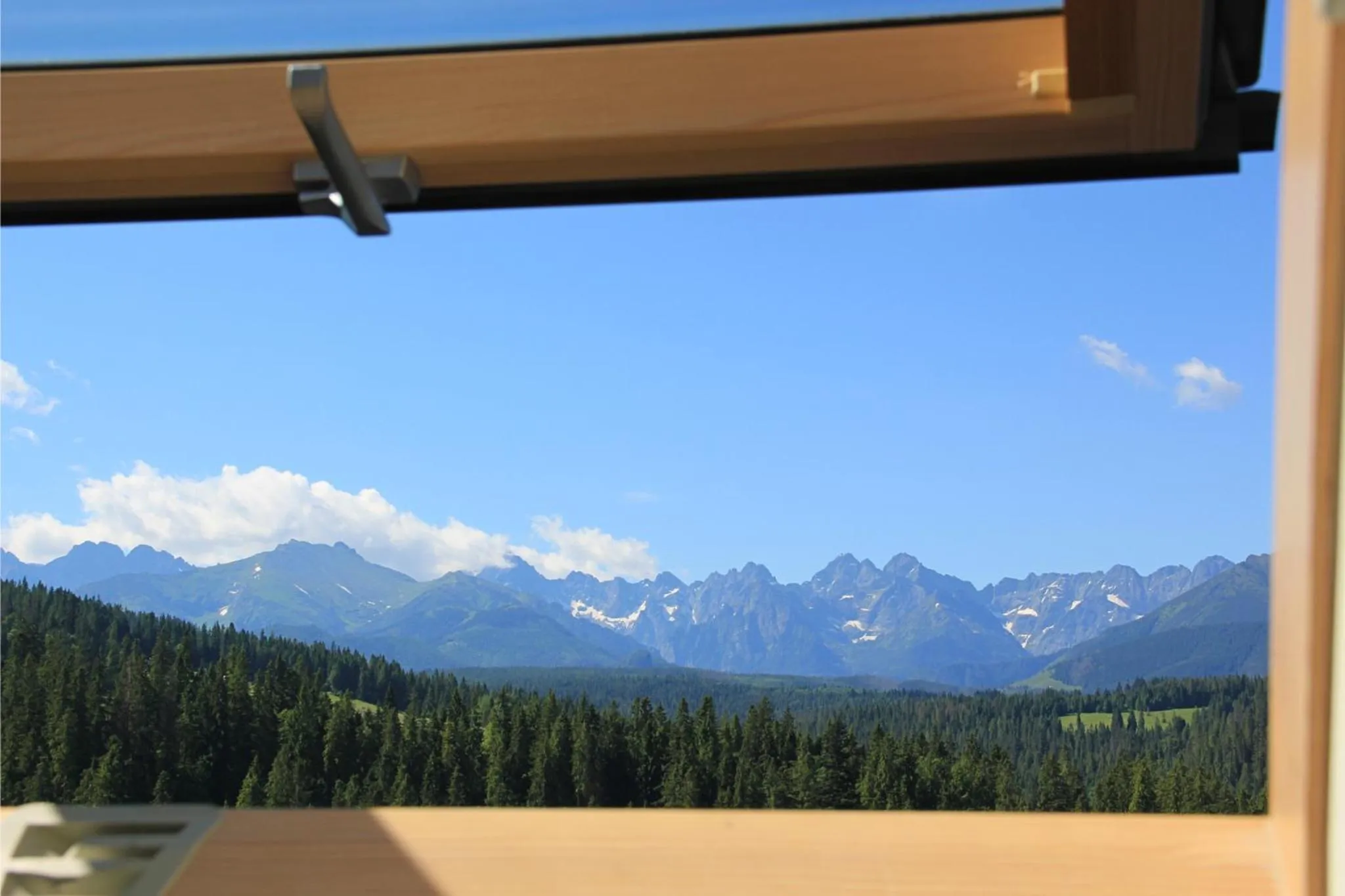 Mountain view in Apartamenty Aries Residence Bukowina