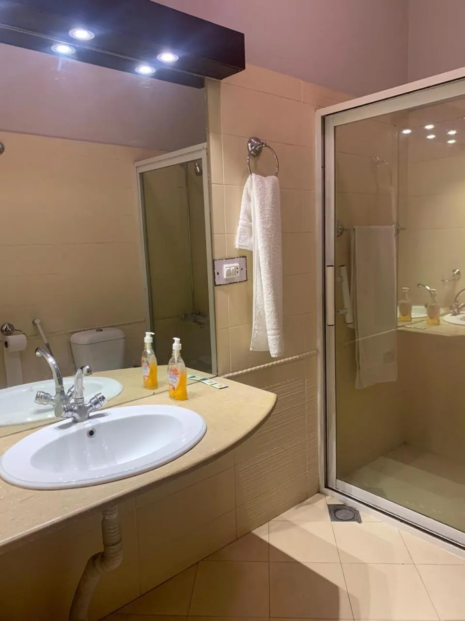 Shower in The Exclusive House