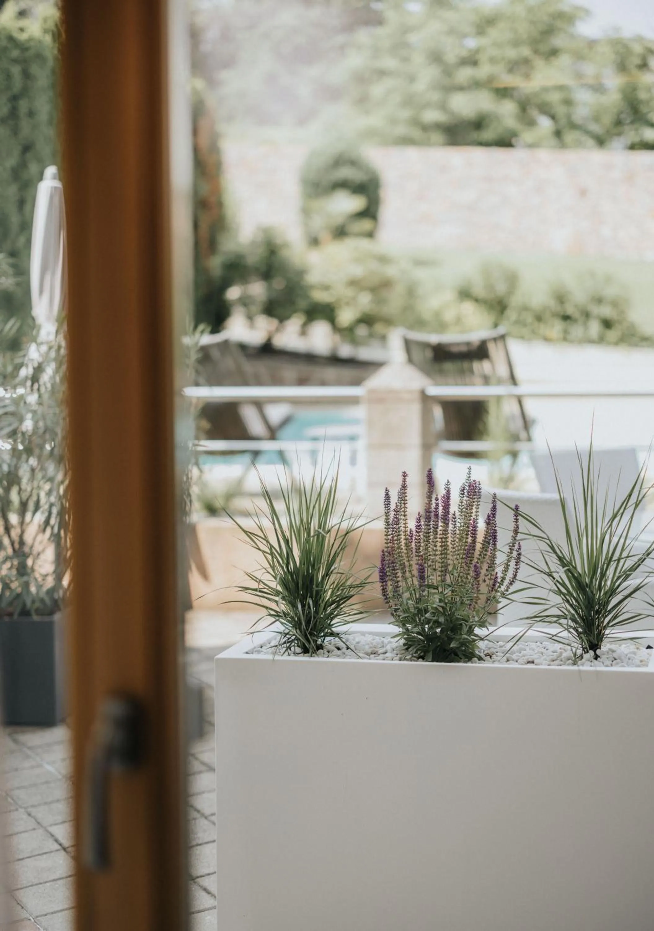 Garden in Hotel Bischofhof