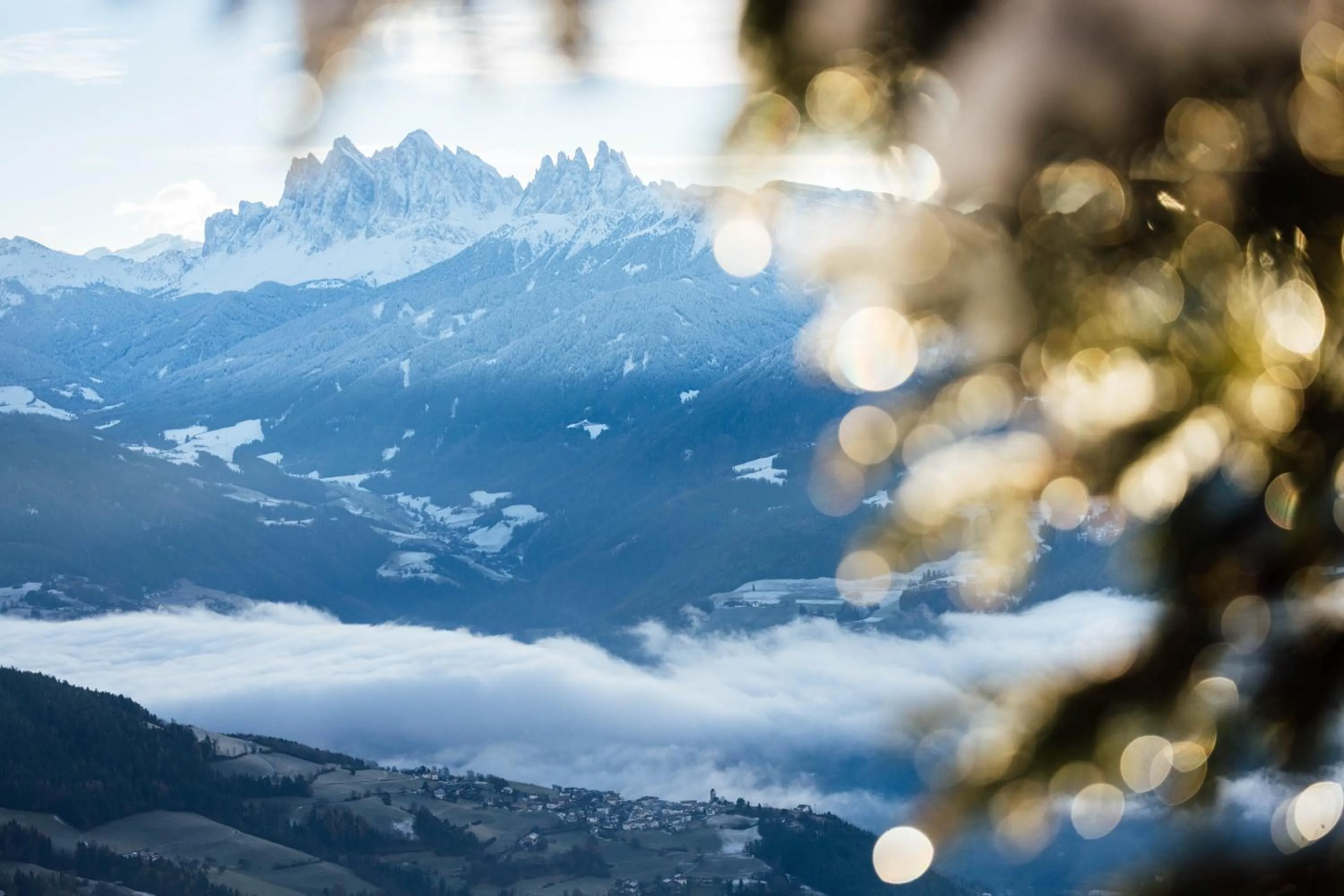 Natural landscape in Hotel Bischofhof
