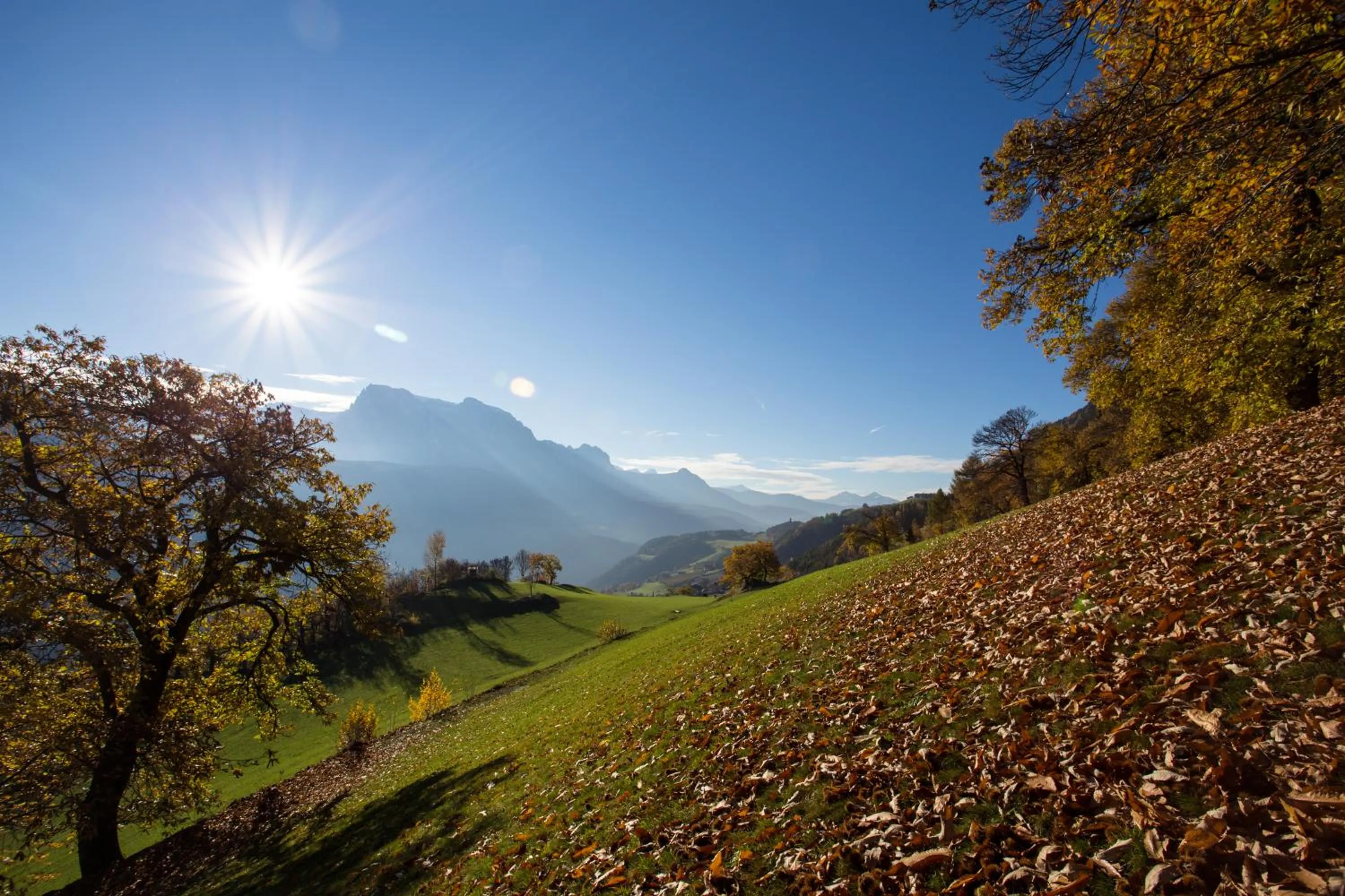 Natural landscape in Hotel Bischofhof