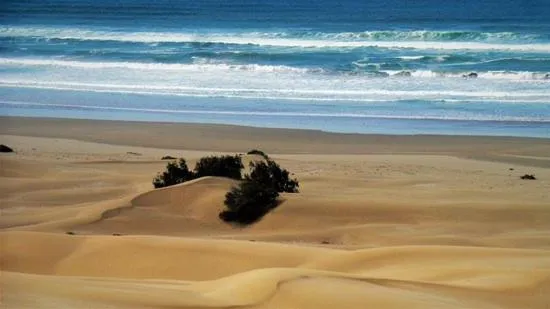 Nearby landmark in Hotel EL MARSA LA PLAYA