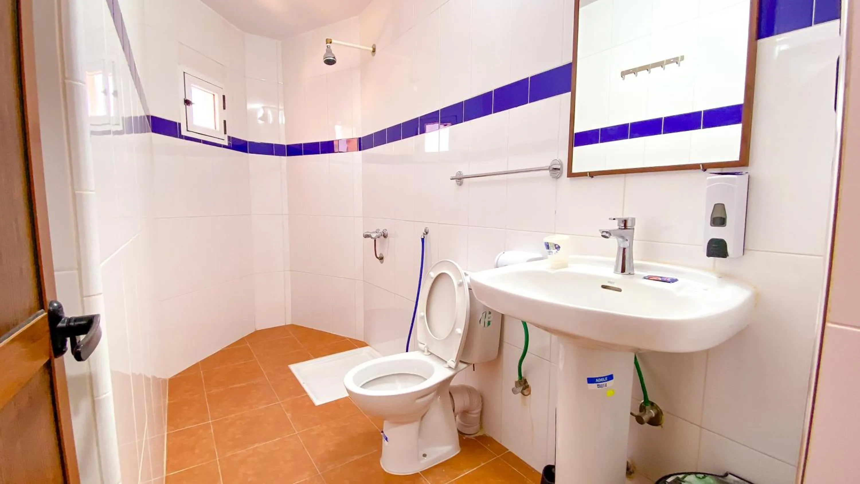 Shower in Hotel EL MARSA LA PLAYA