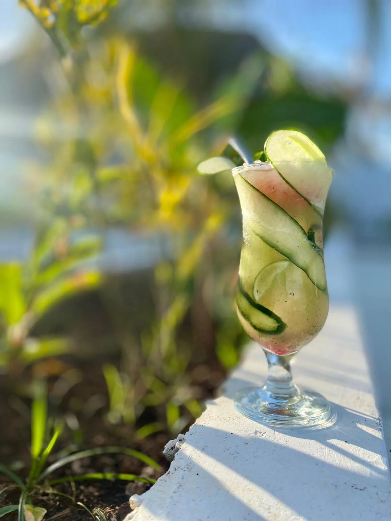 Drinks in Zen Boutique Resort