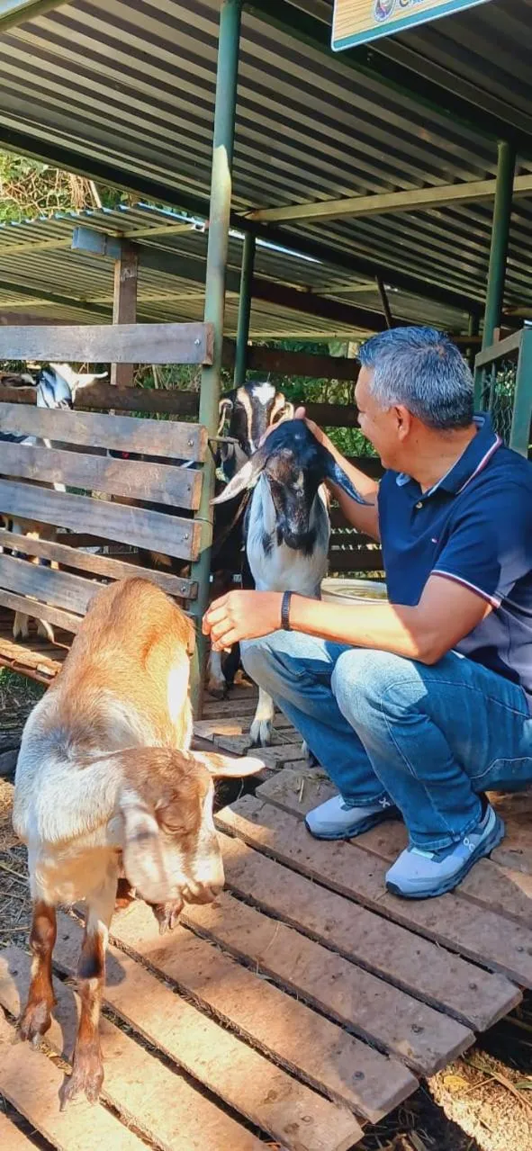 Hotel de Campo Villa de Ada