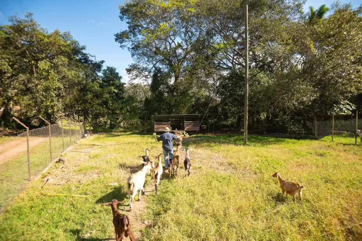 Hotel de Campo Villa de Ada