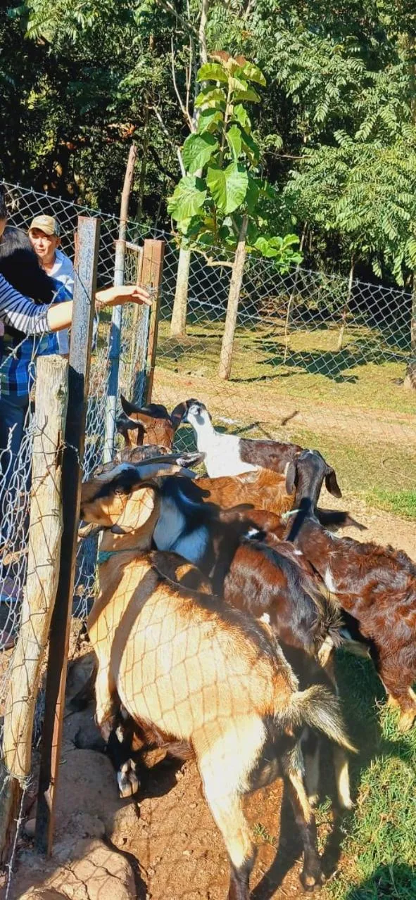 Hotel de Campo Villa de Ada