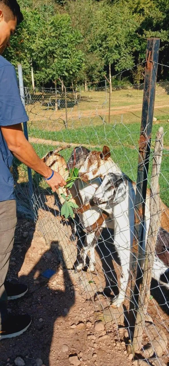 Hotel de Campo Villa de Ada