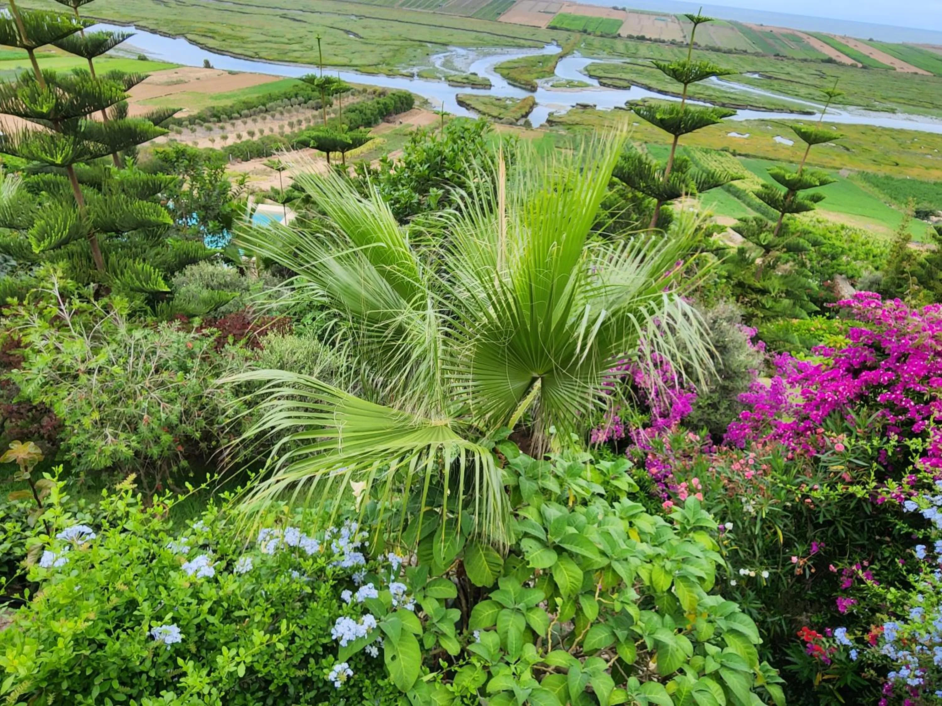 Natural landscape in La Villa Joubert