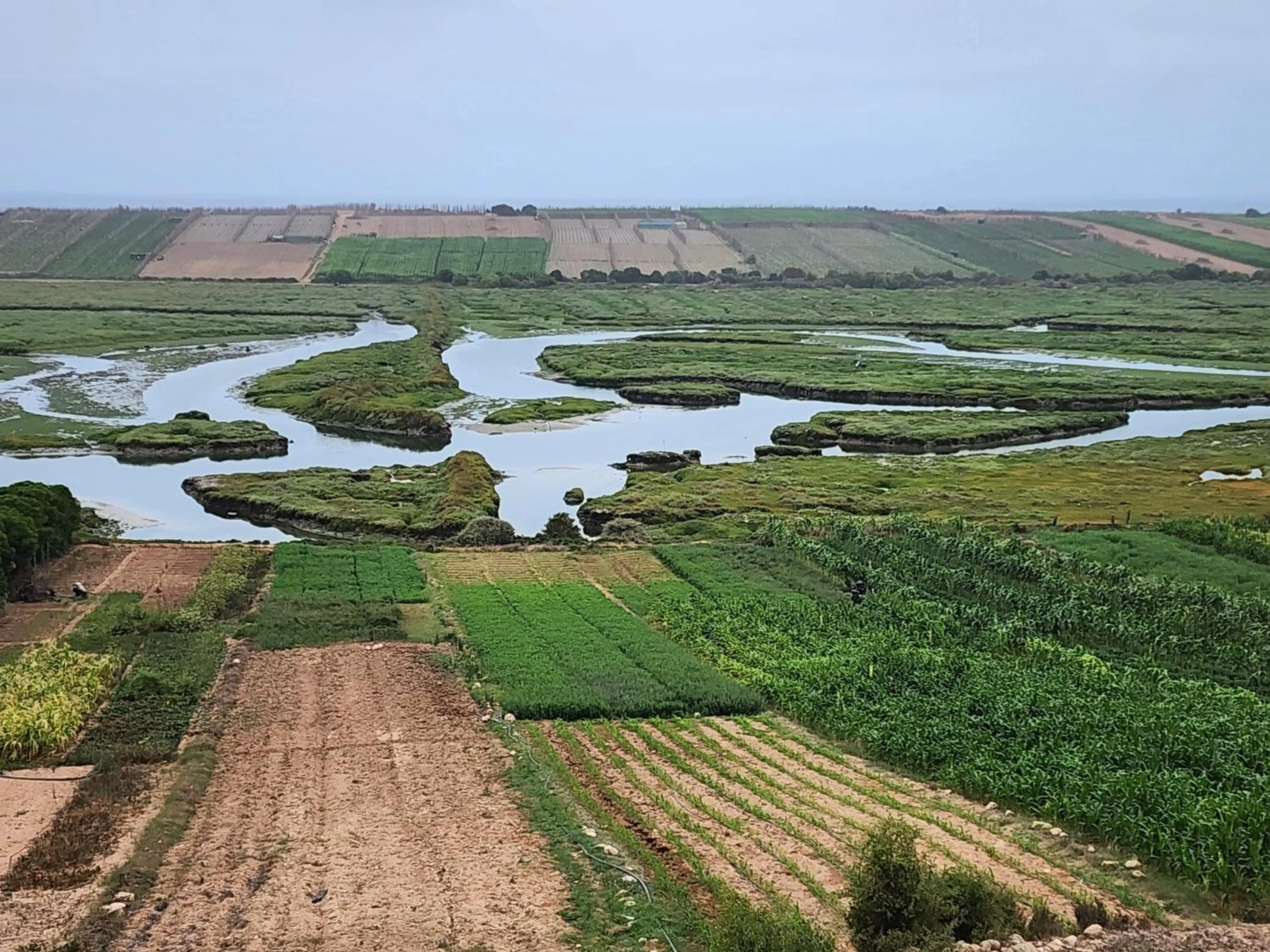 Bird's eye view in La Villa Joubert