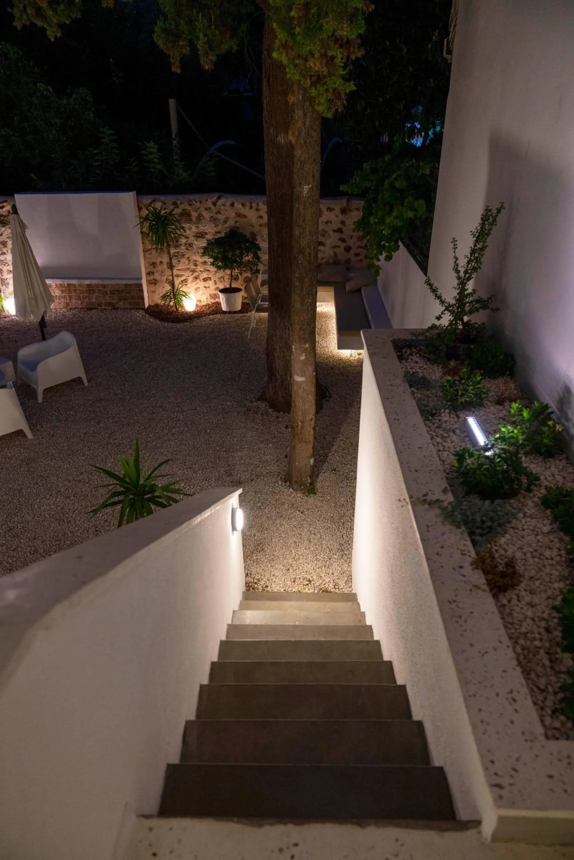 Garden in BE BOLD HOSTEL