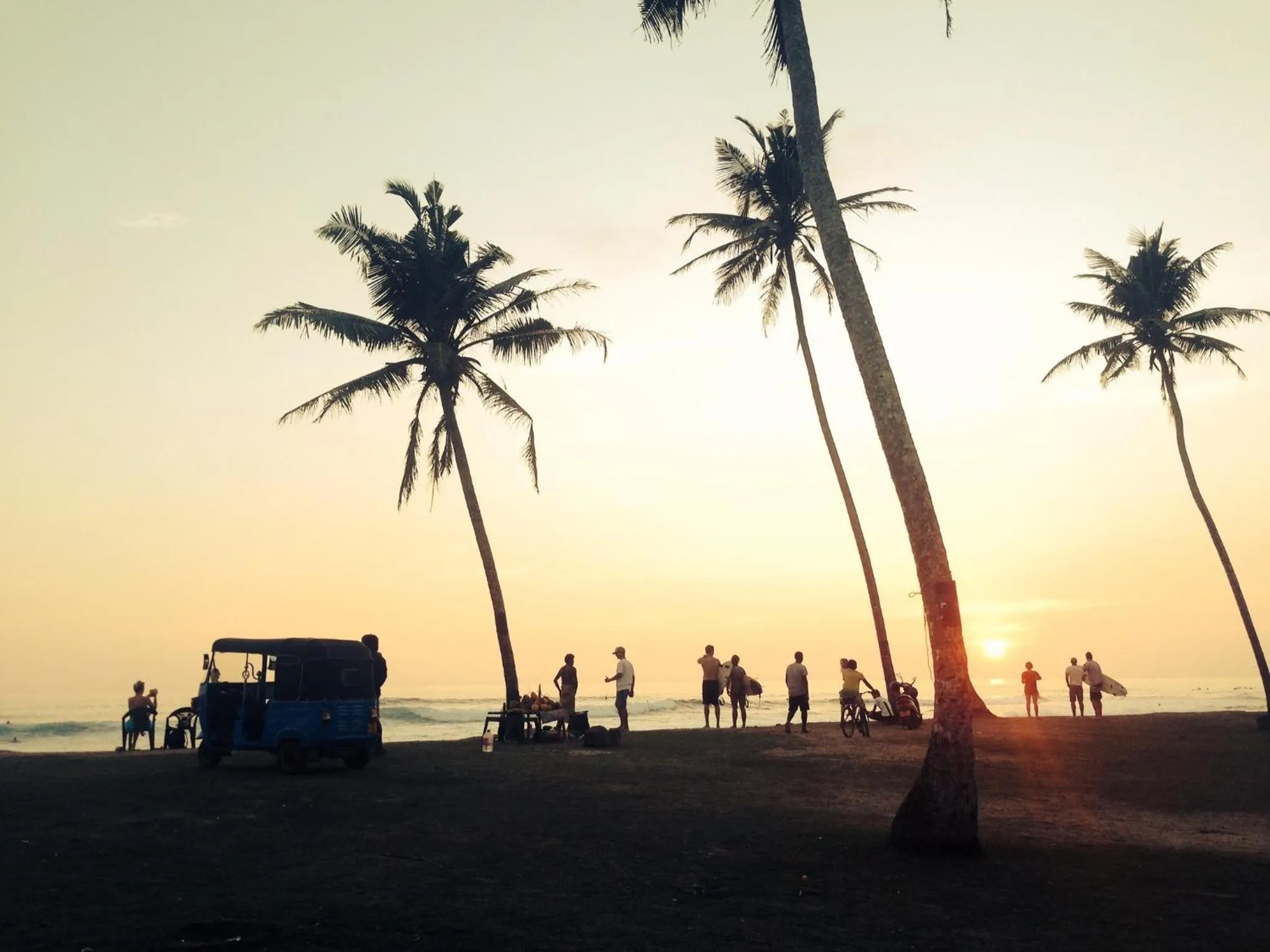 Other in Lion's Rest