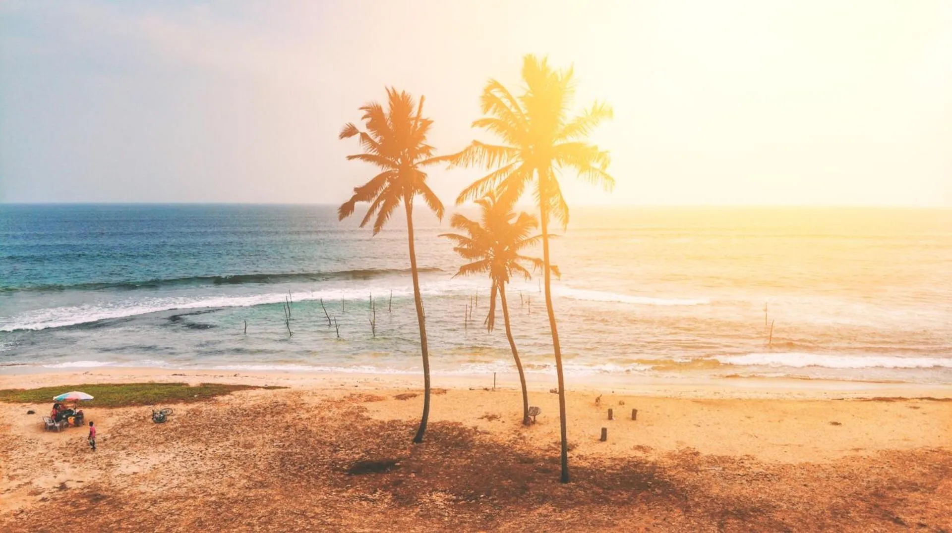 Natural landscape in Lion's Rest