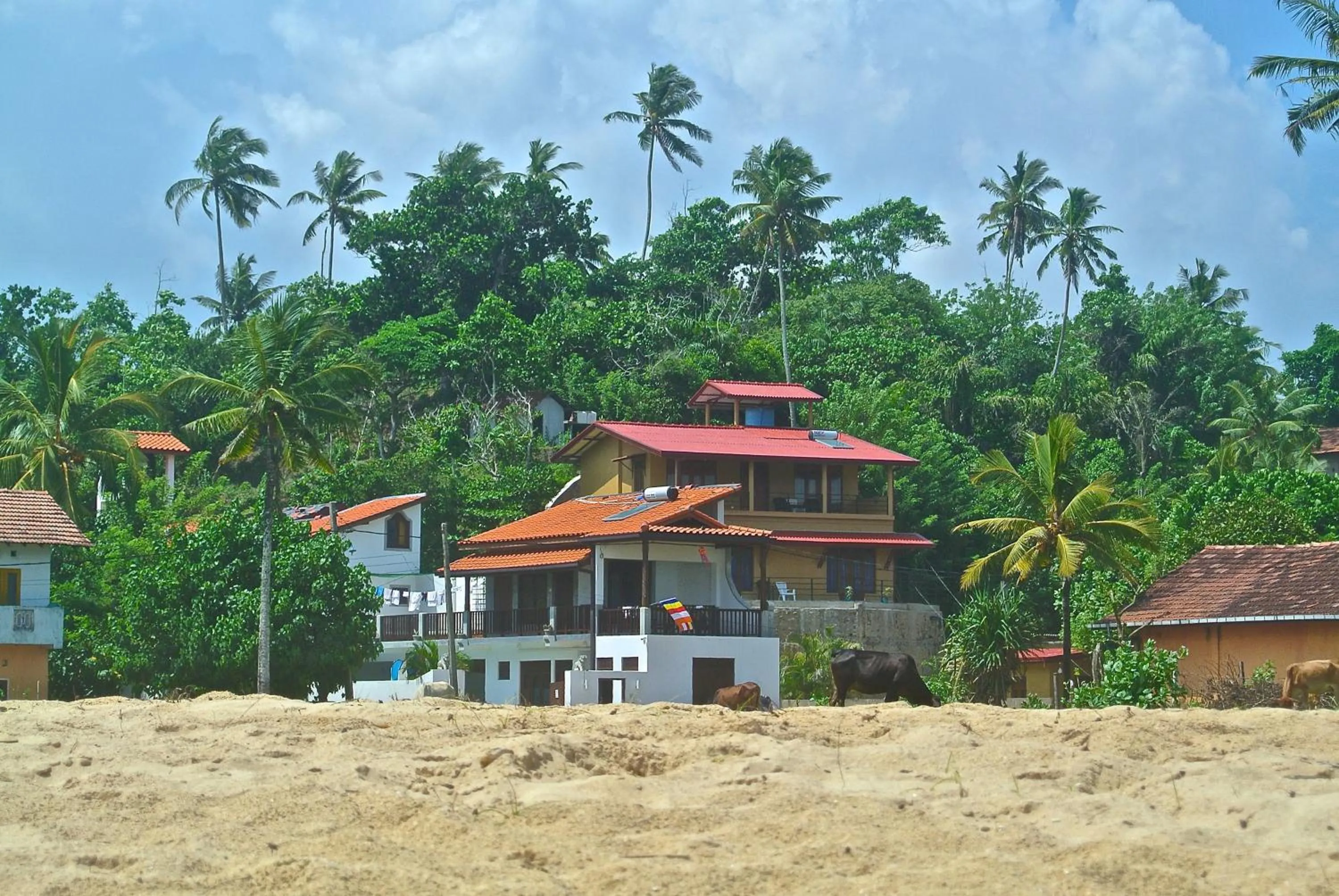 Property building in Lion's Rest