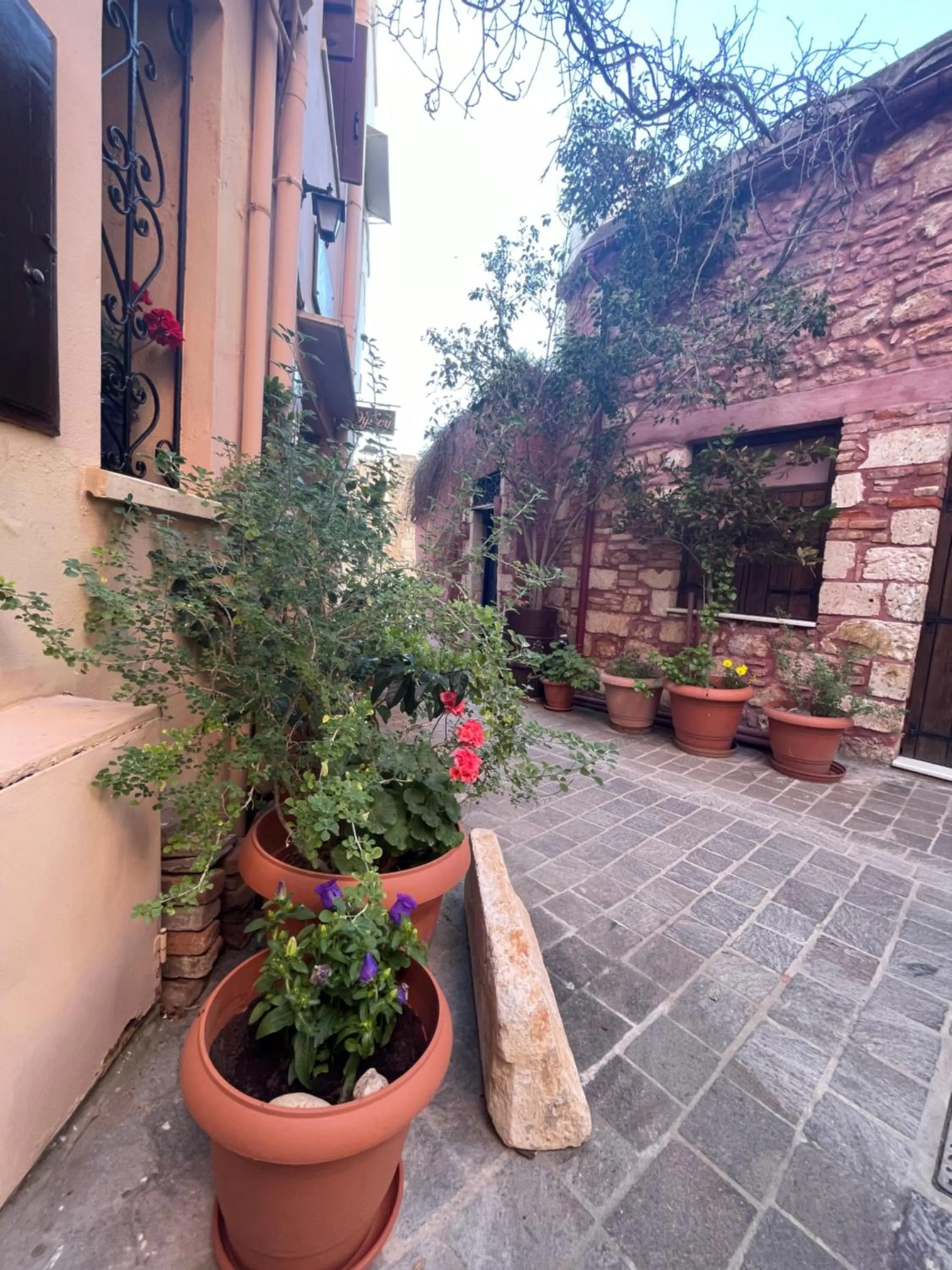 Property building in Odyssey House