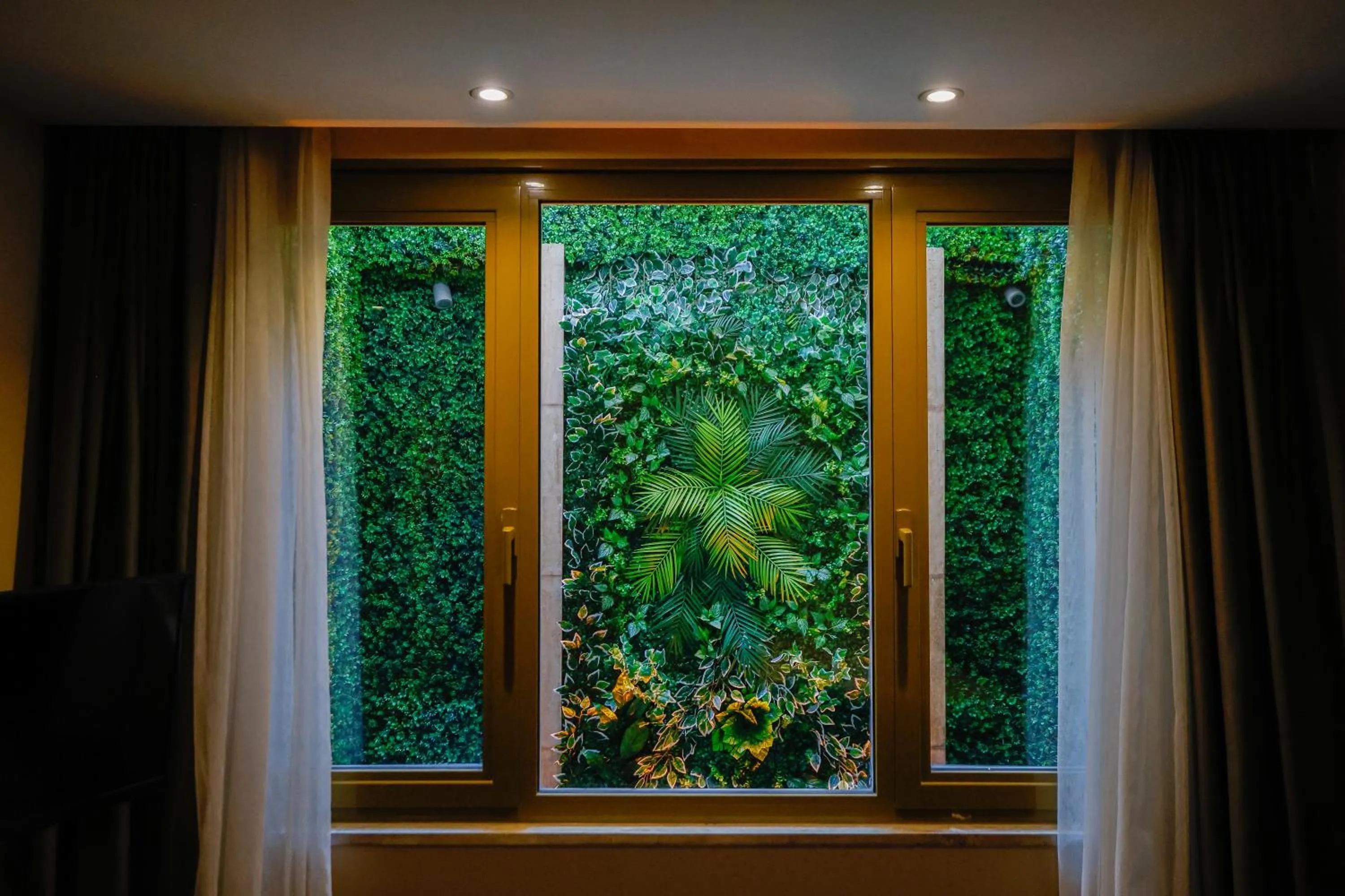 Garden view in Tan Hotel - Special Category